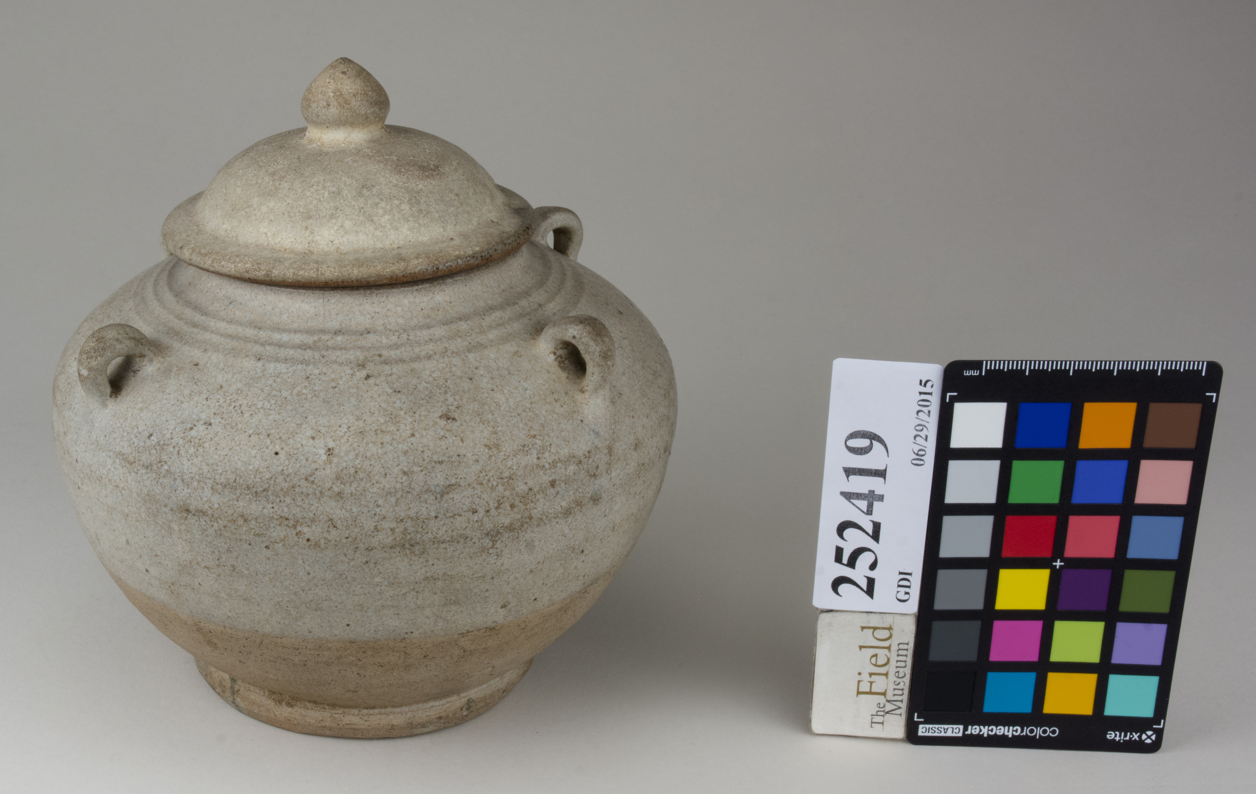 ParentFrontAngleTogether (c) Field Museum of Natural History - CC BY-NC 4.0