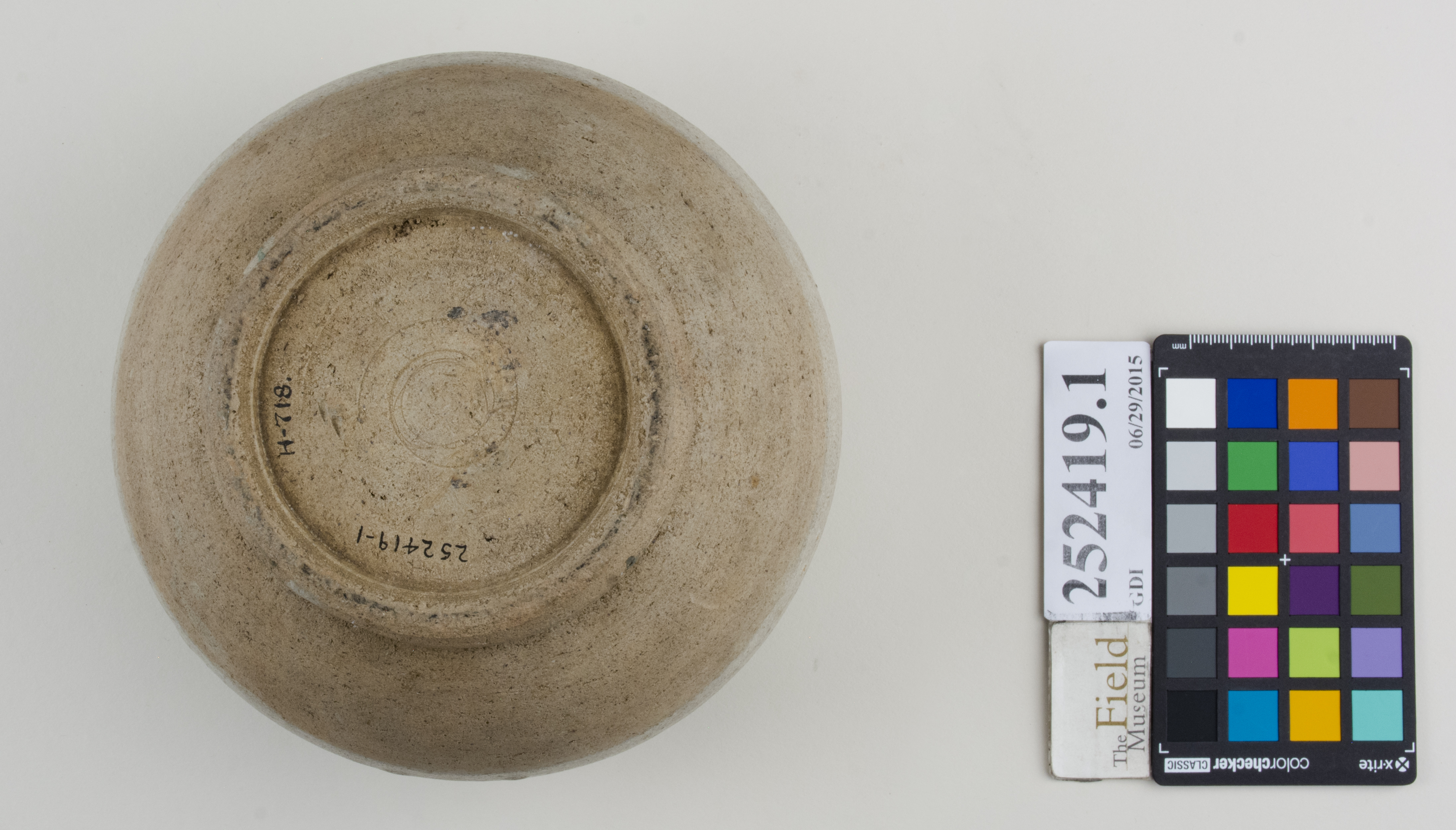 Bottom (c) Field Museum of Natural History - CC BY-NC 4.0