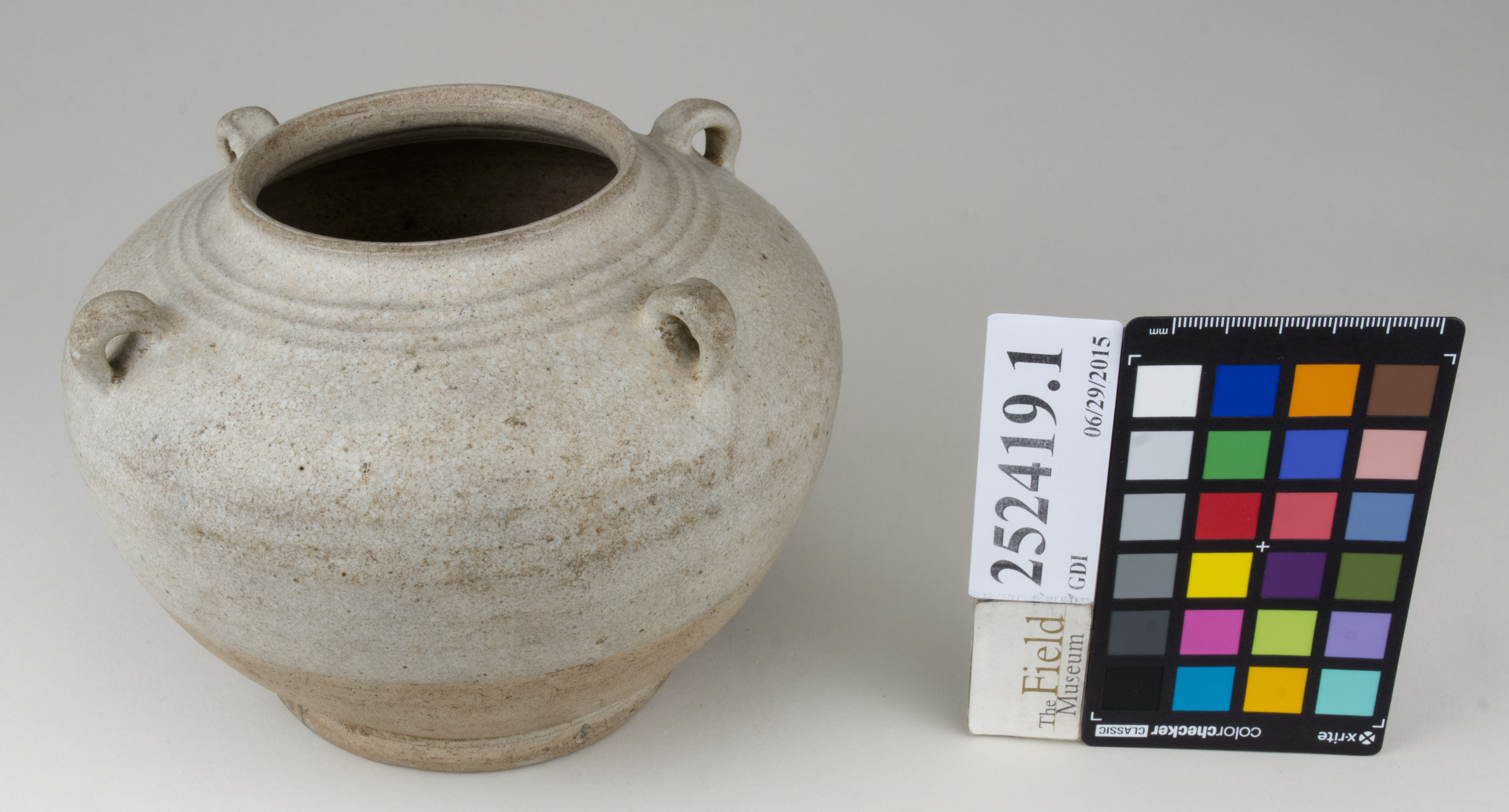 FrontAngle (c) Field Museum of Natural History - CC BY-NC 4.0