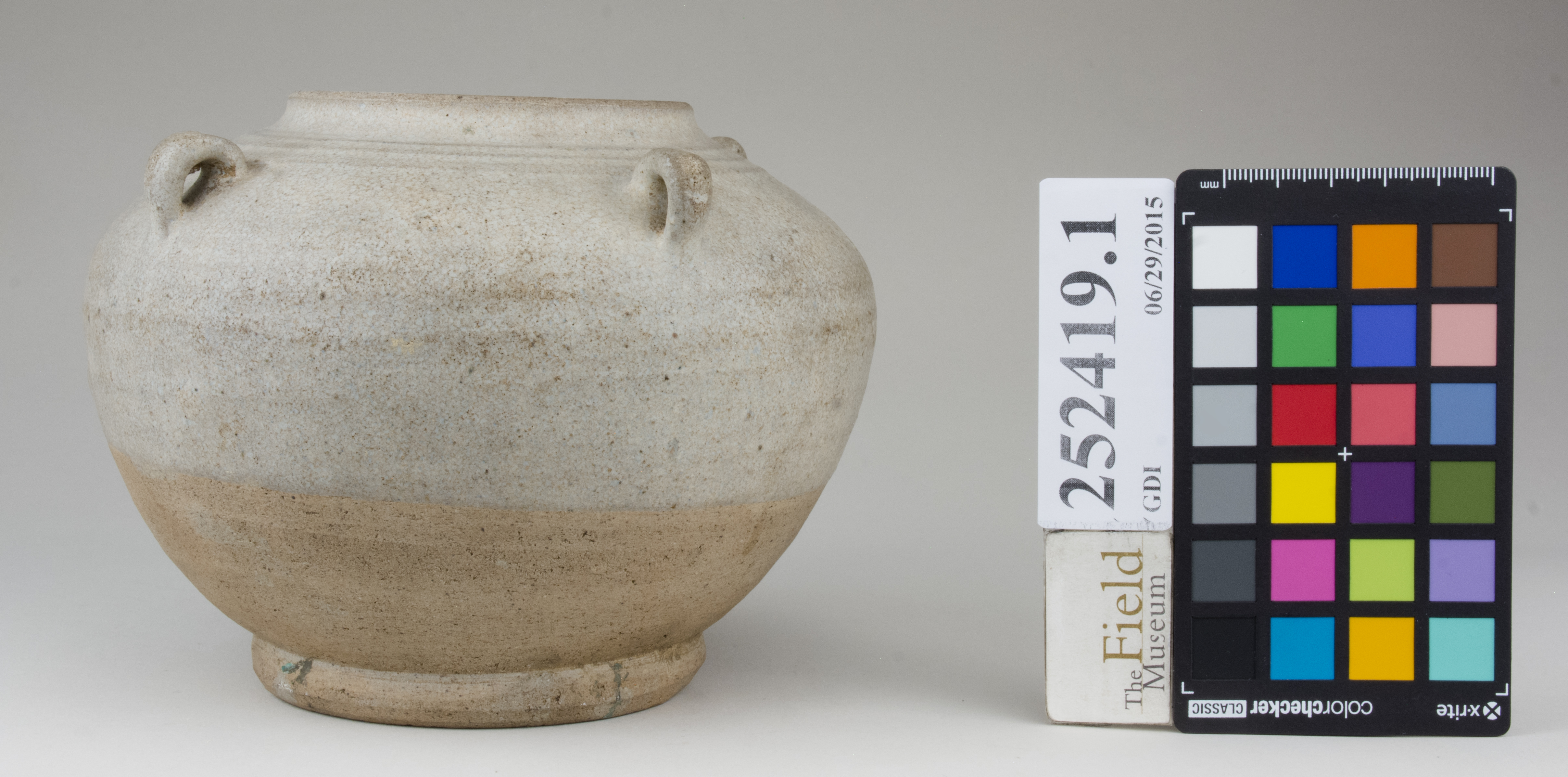 Right (c) Field Museum of Natural History - CC BY-NC 4.0