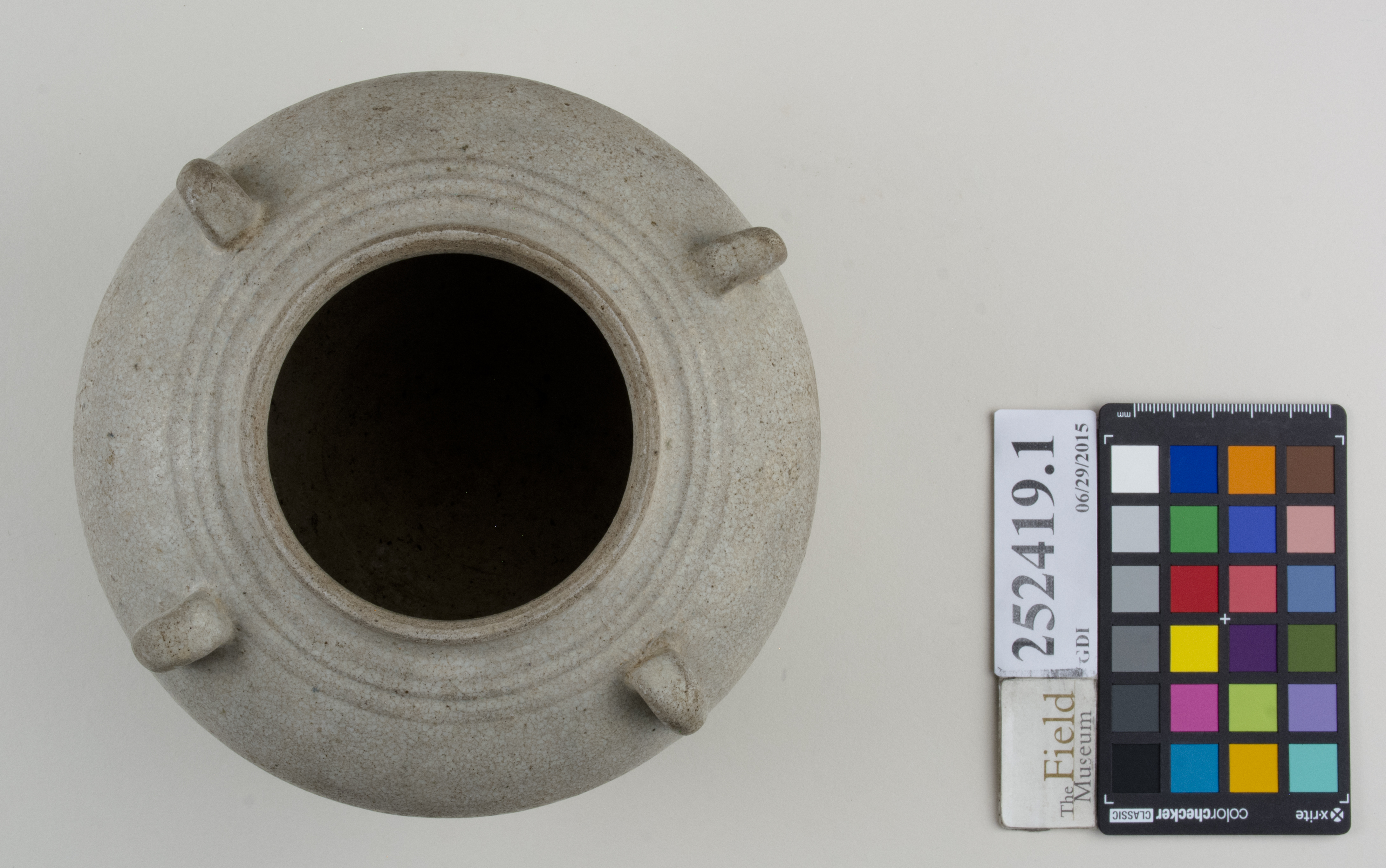 Top (c) Field Museum of Natural History - CC BY-NC 4.0