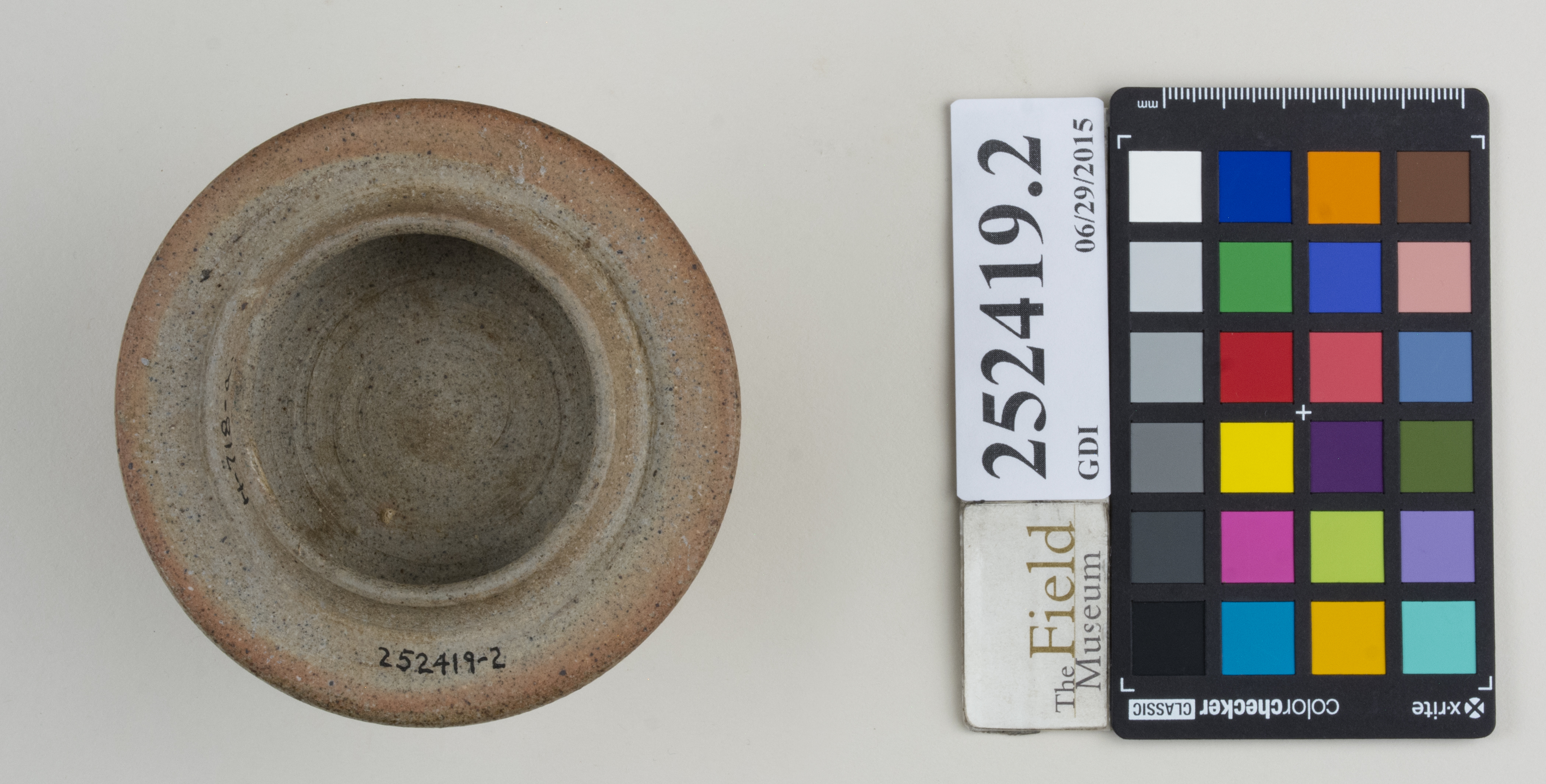 Bottom (c) Field Museum of Natural History - CC BY-NC 4.0