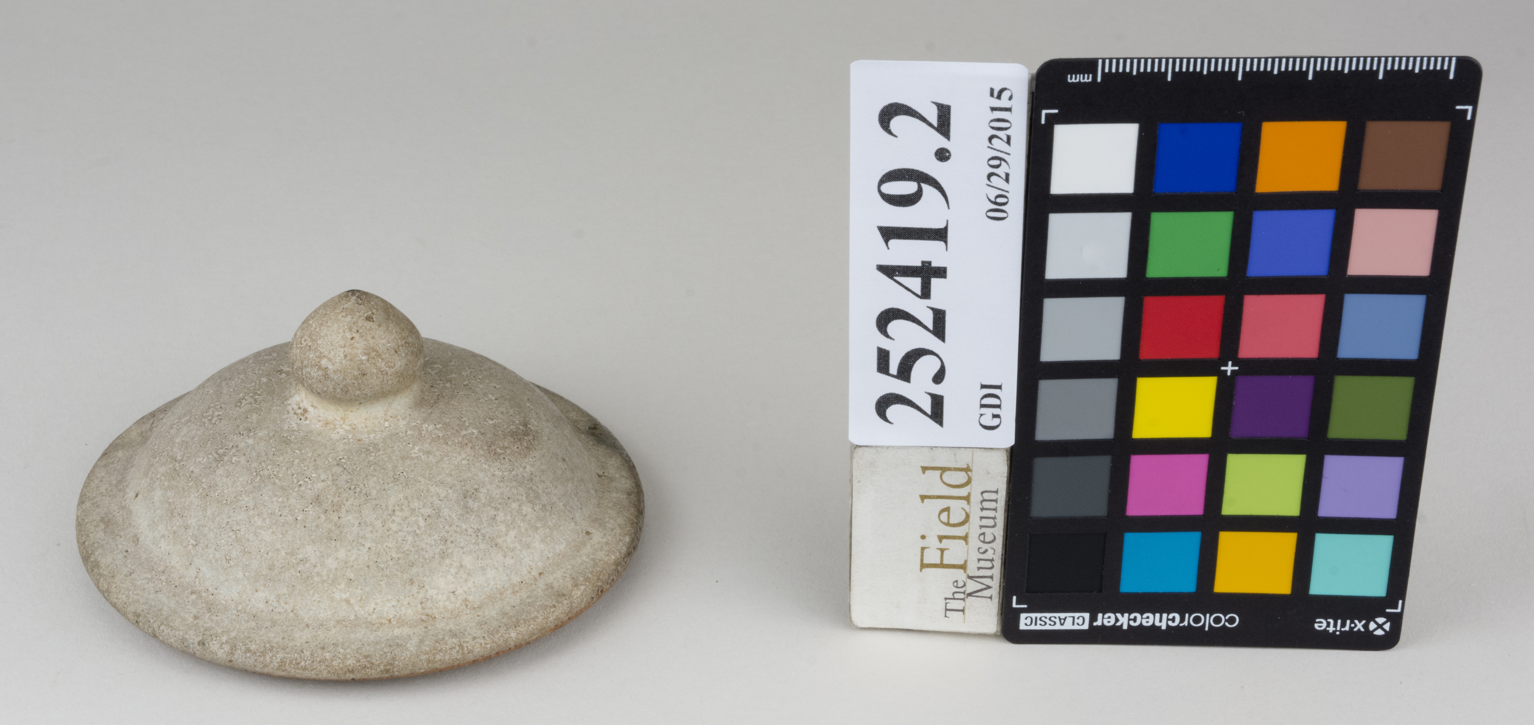 FrontAngle (c) Field Museum of Natural History - CC BY-NC 4.0