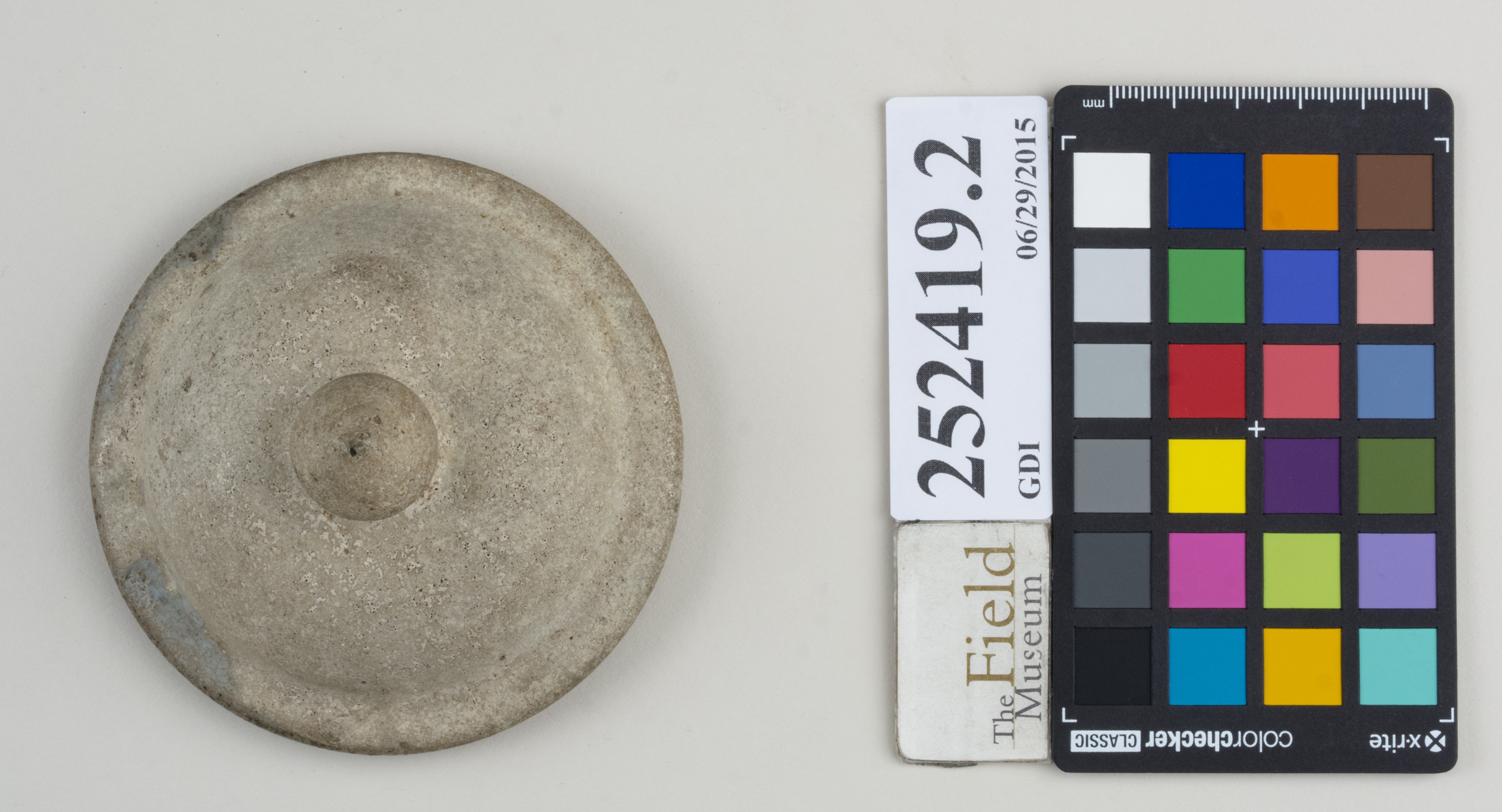 Top (c) Field Museum of Natural History - CC BY-NC 4.0