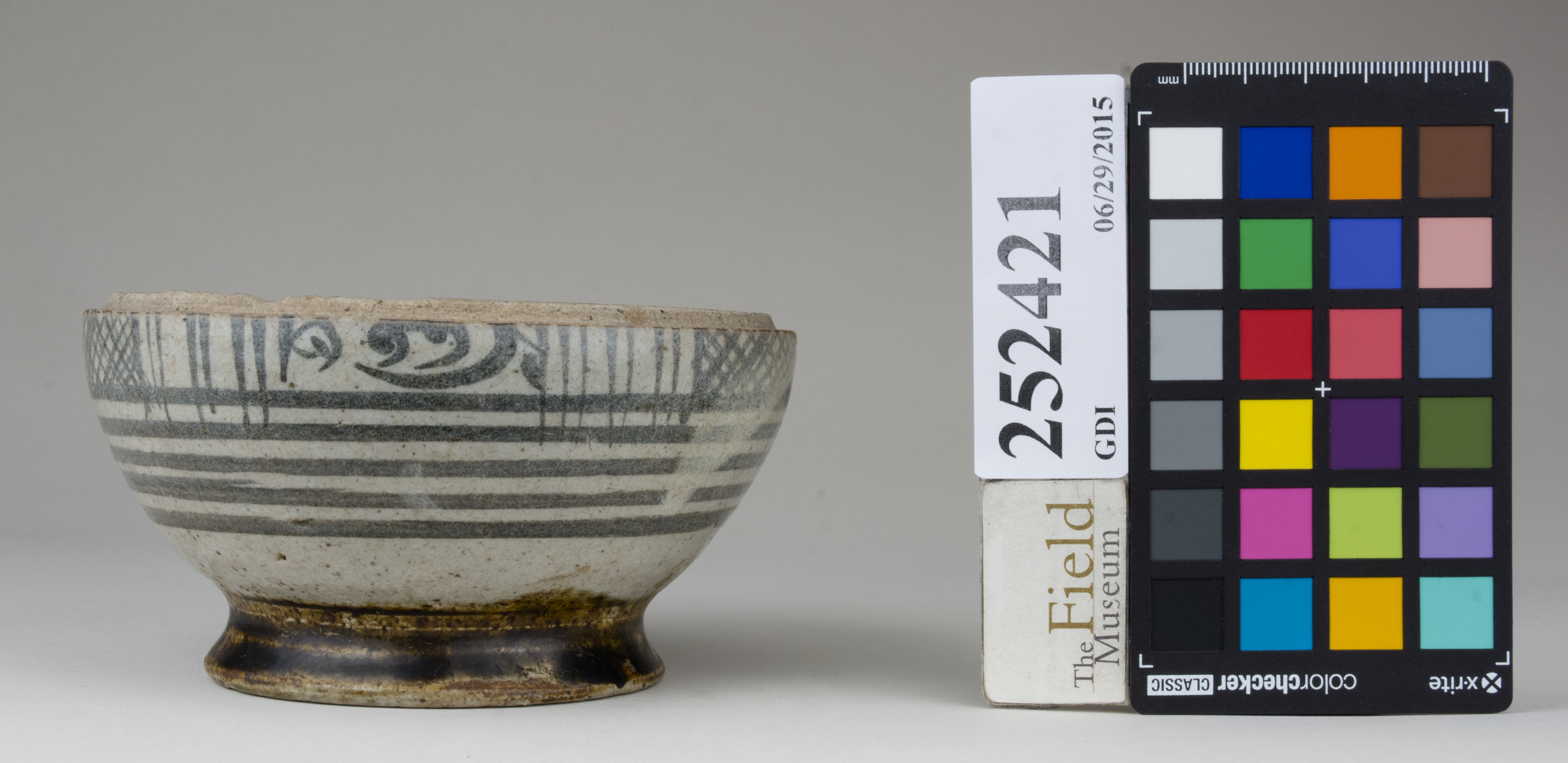 Front (c) Field Museum of Natural History - CC BY-NC 4.0