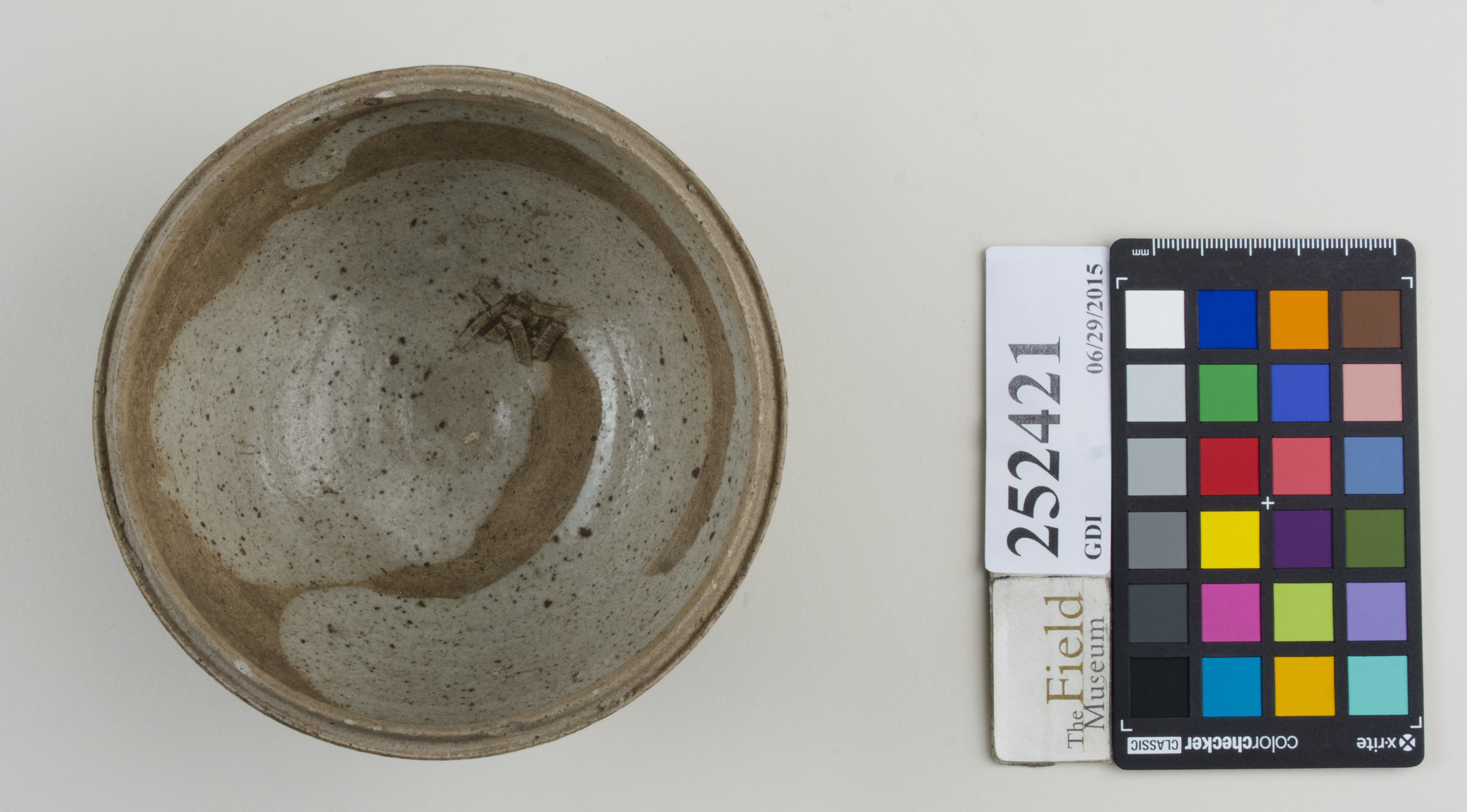 Top (c) Field Museum of Natural History - CC BY-NC 4.0