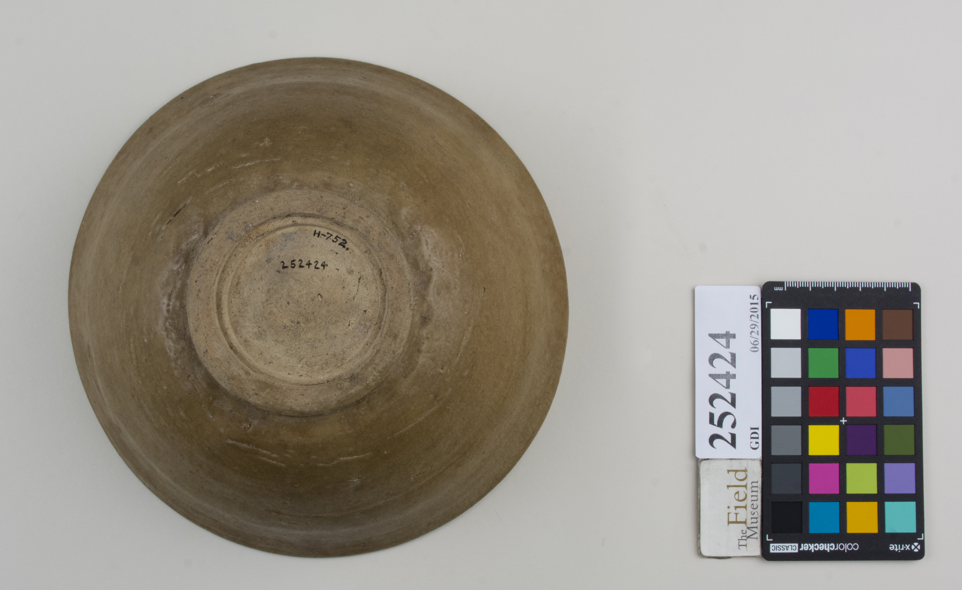 Bottom (c) Field Museum of Natural History - CC BY-NC 4.0