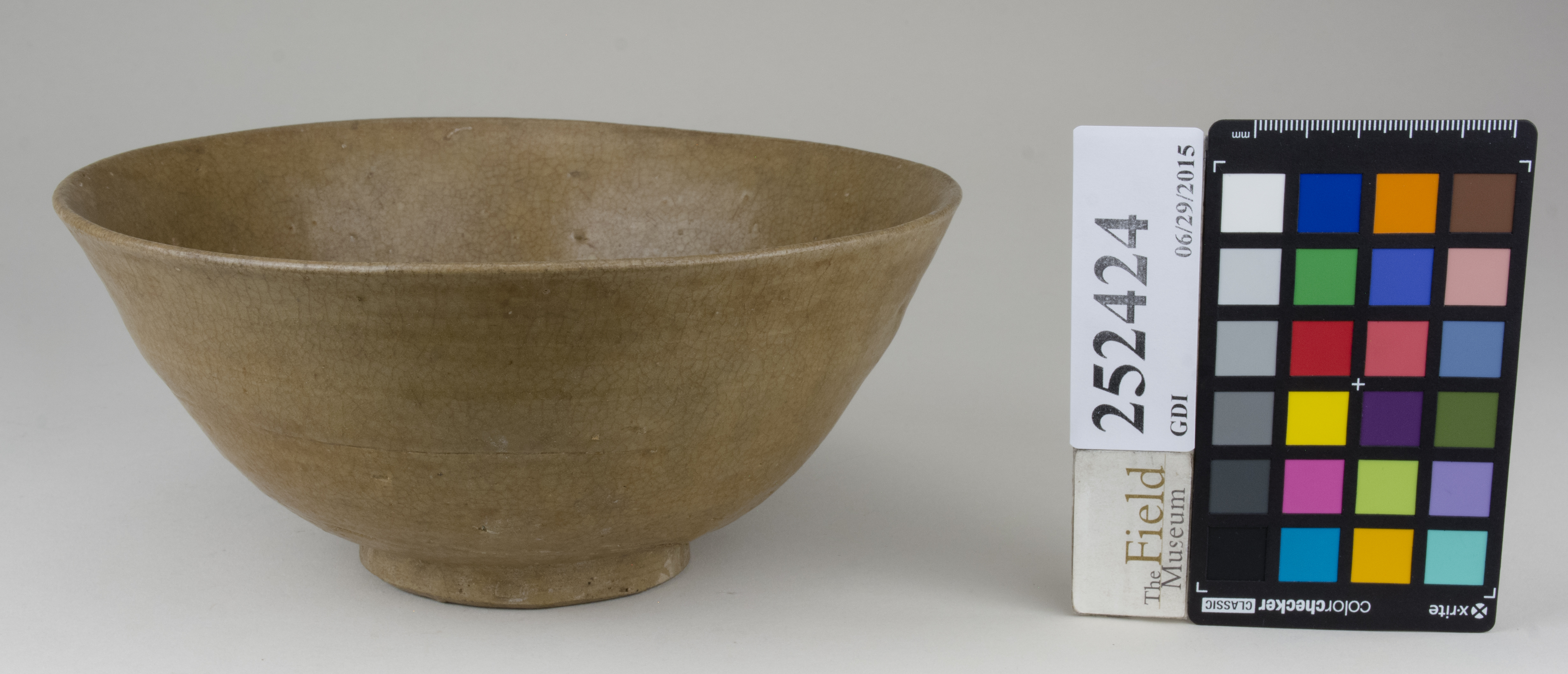 FrontAngle (c) Field Museum of Natural History - CC BY-NC 4.0