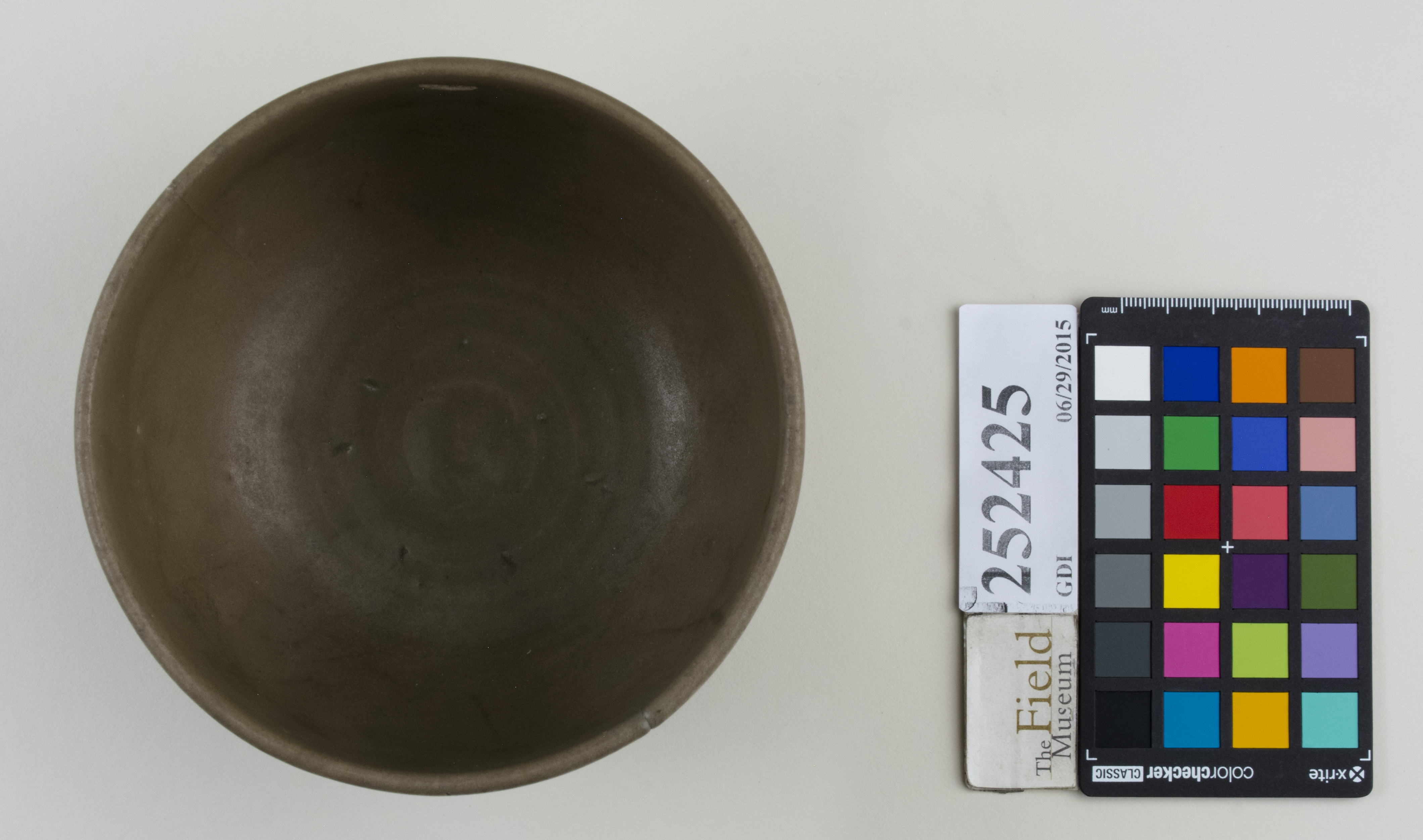 Top (c) Field Museum of Natural History - CC BY-NC 4.0