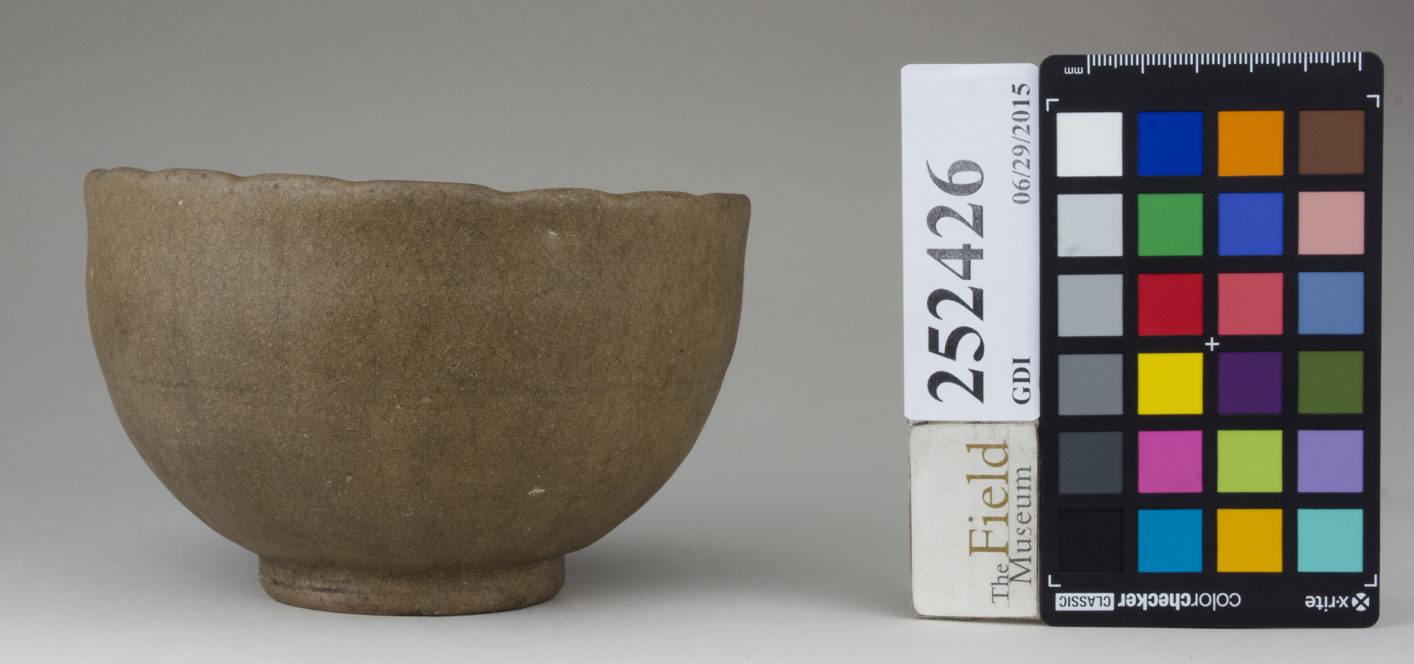 reference image, back (c) Field Museum of Natural History - CC BY-NC 4.0