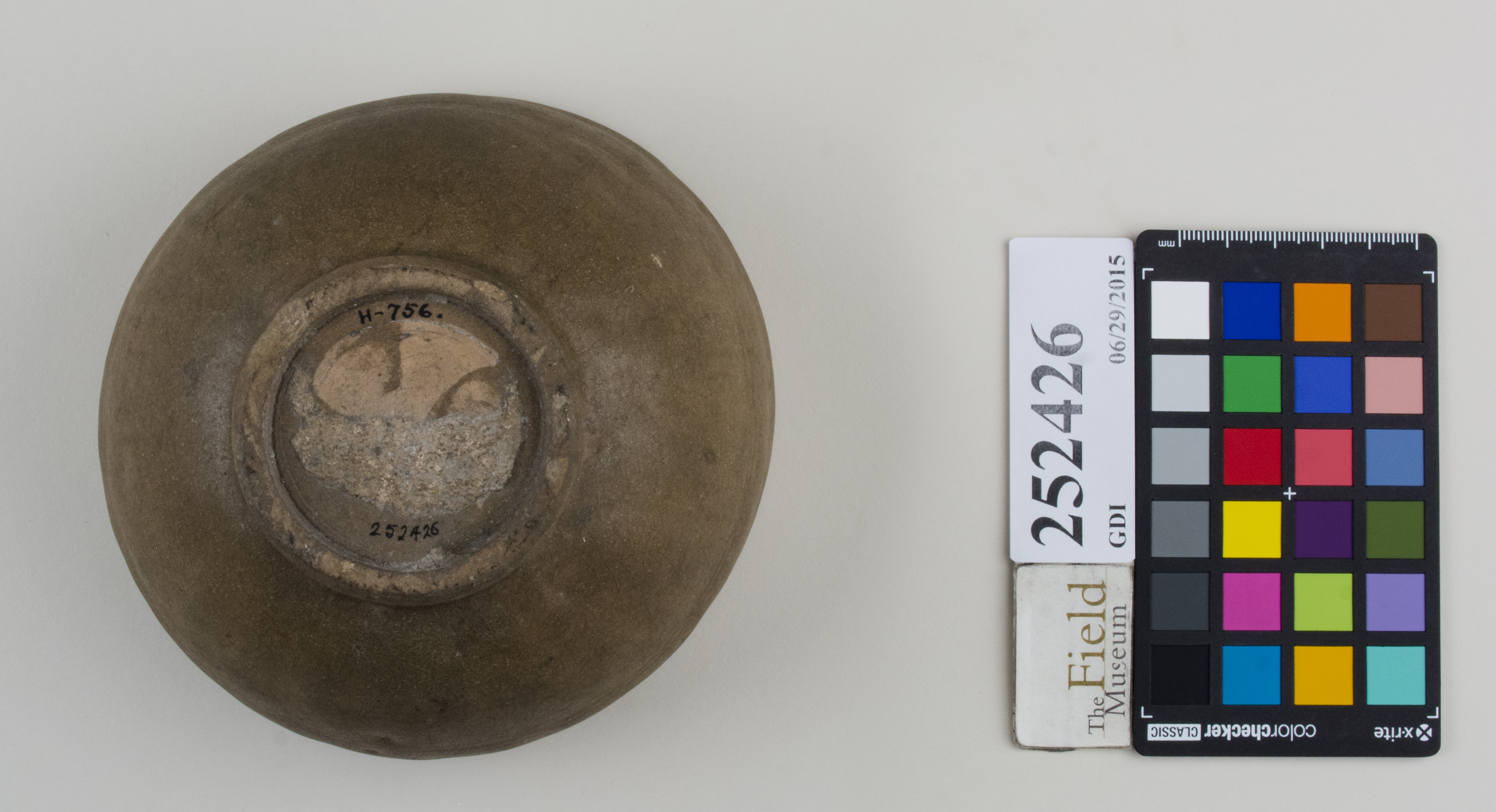 Bottom (c) Field Museum of Natural History - CC BY-NC 4.0