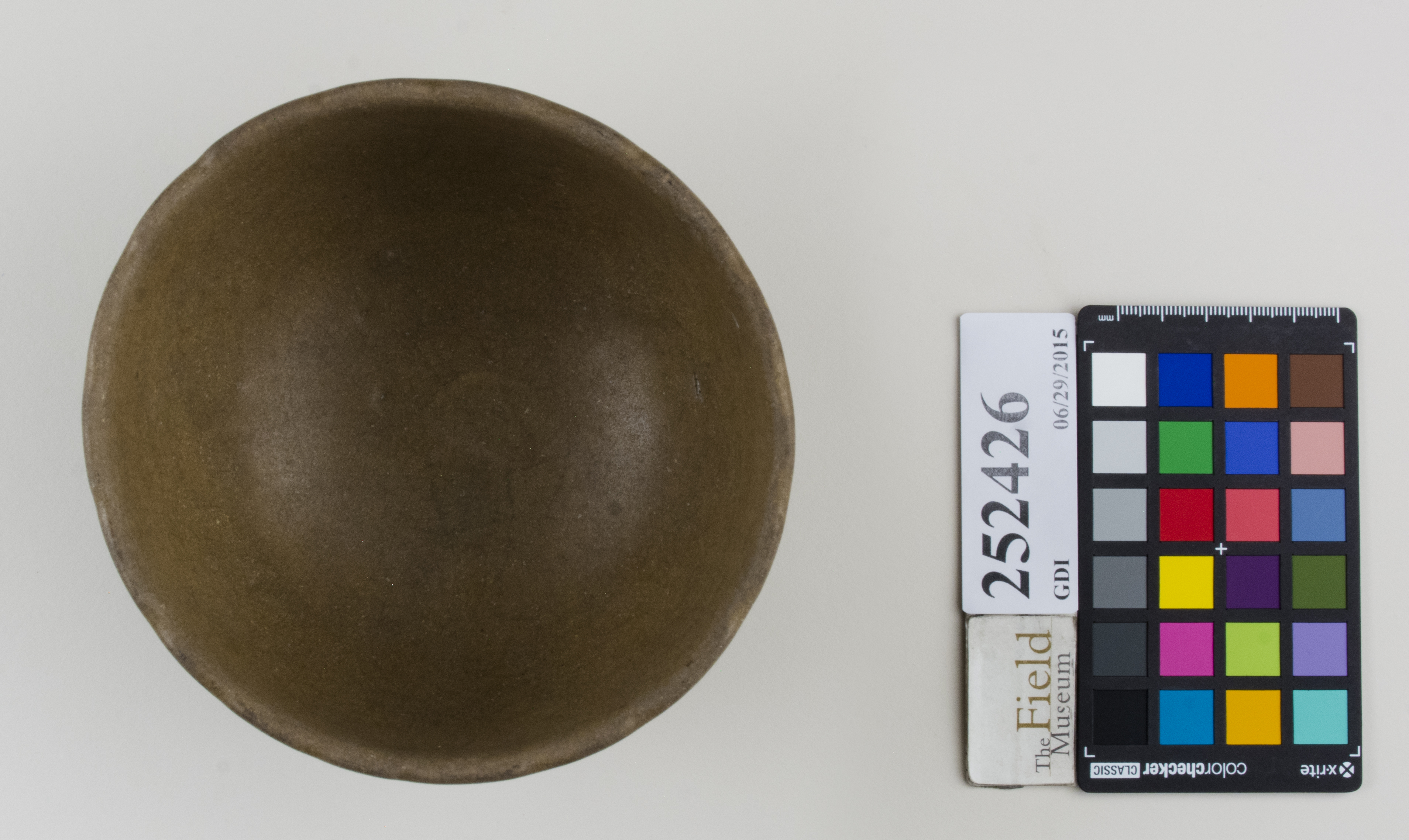 Top (c) Field Museum of Natural History - CC BY-NC 4.0