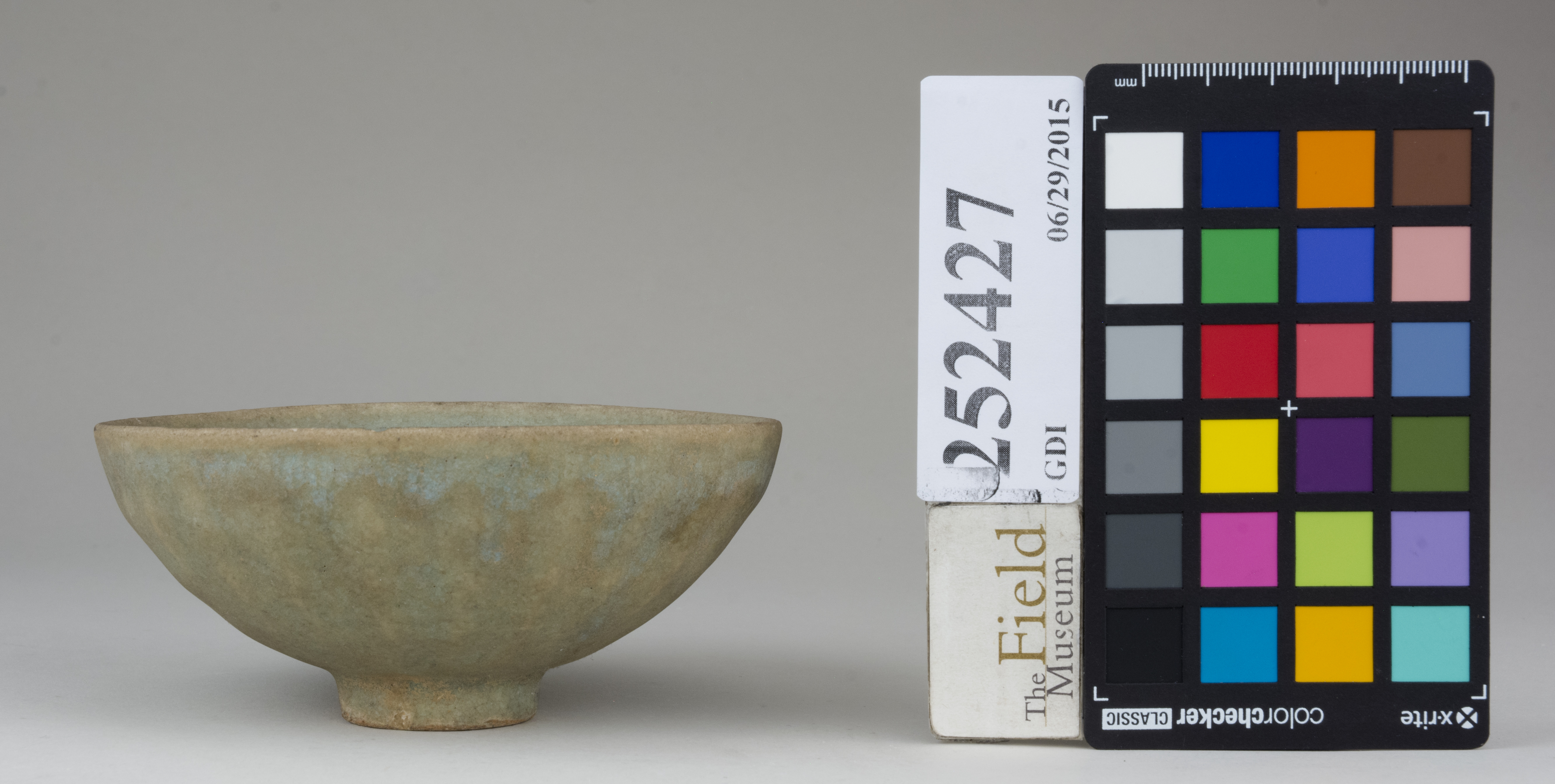 reference image, back (c) Field Museum of Natural History - CC BY-NC 4.0