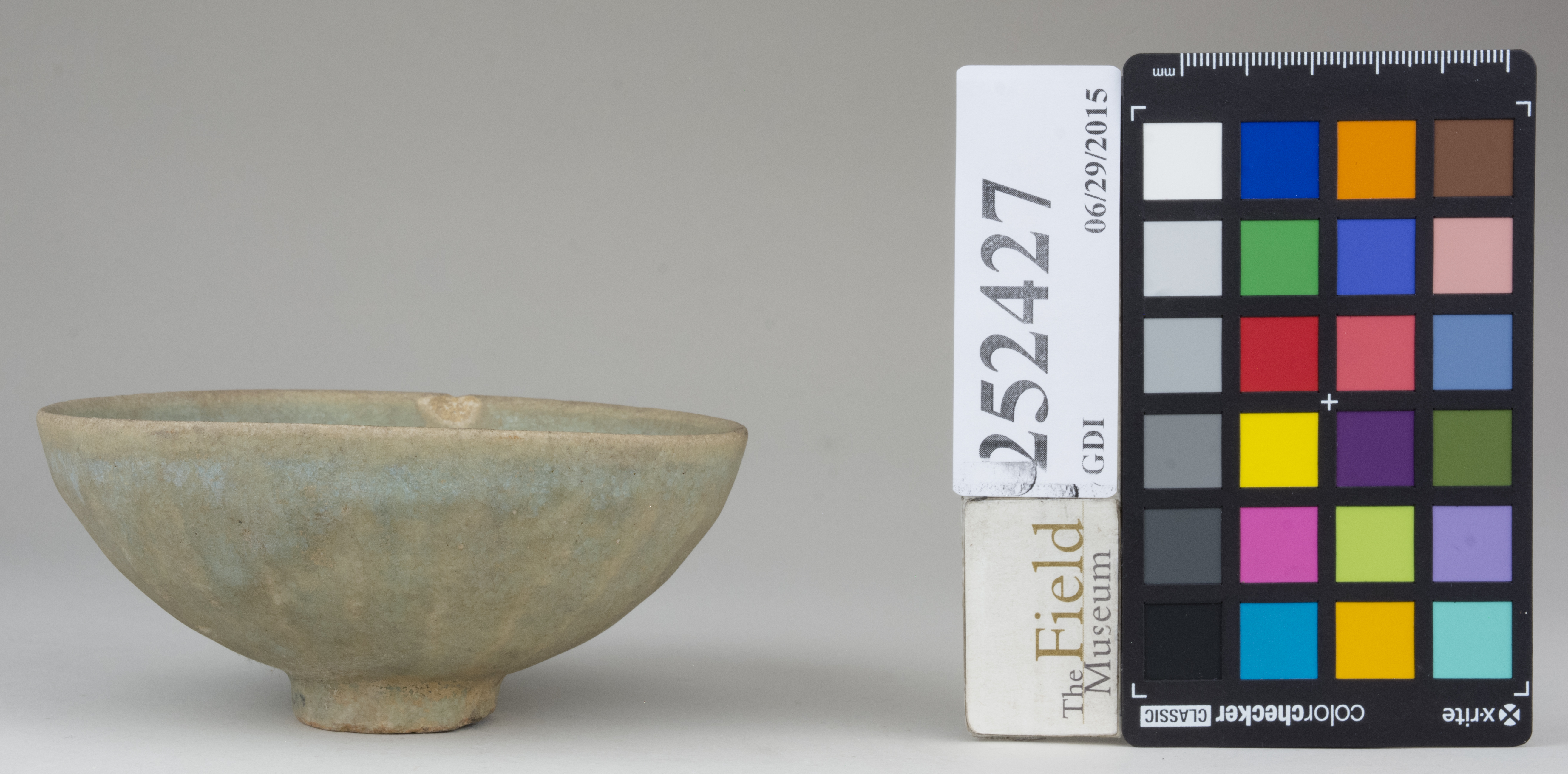 Front (c) Field Museum of Natural History - CC BY-NC 4.0