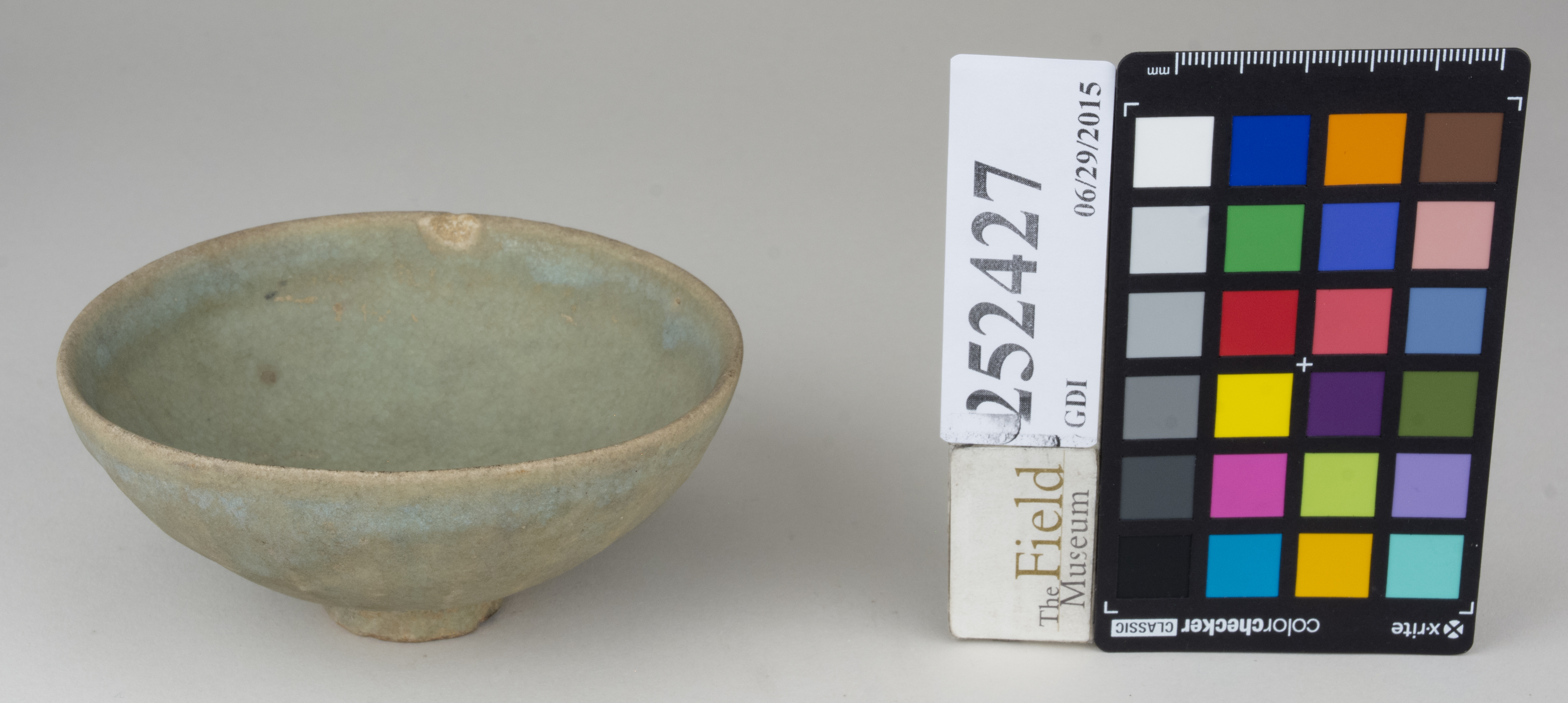 FrontAngle (c) Field Museum of Natural History - CC BY-NC 4.0