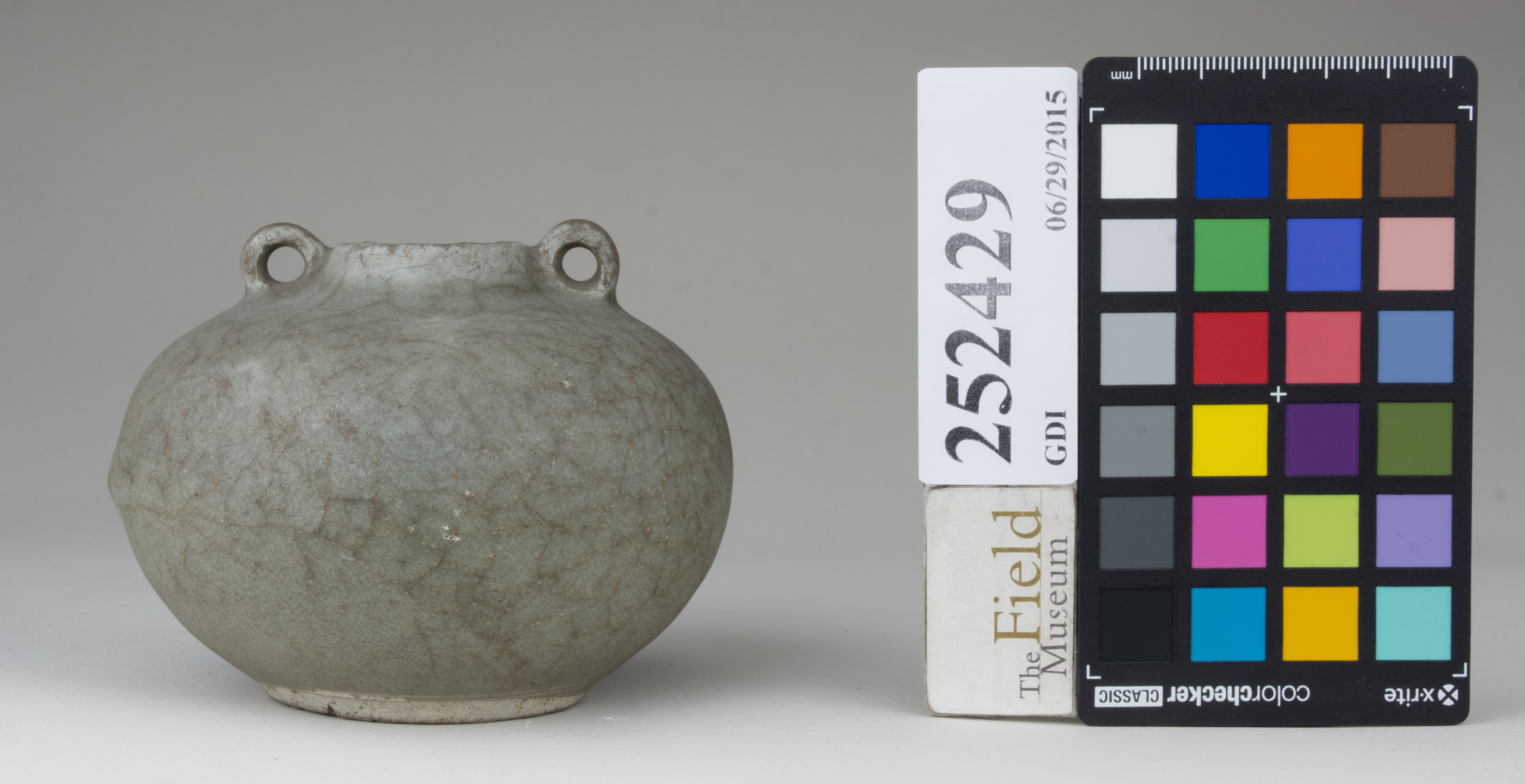 Front (c) Field Museum of Natural History - CC BY-NC 4.0