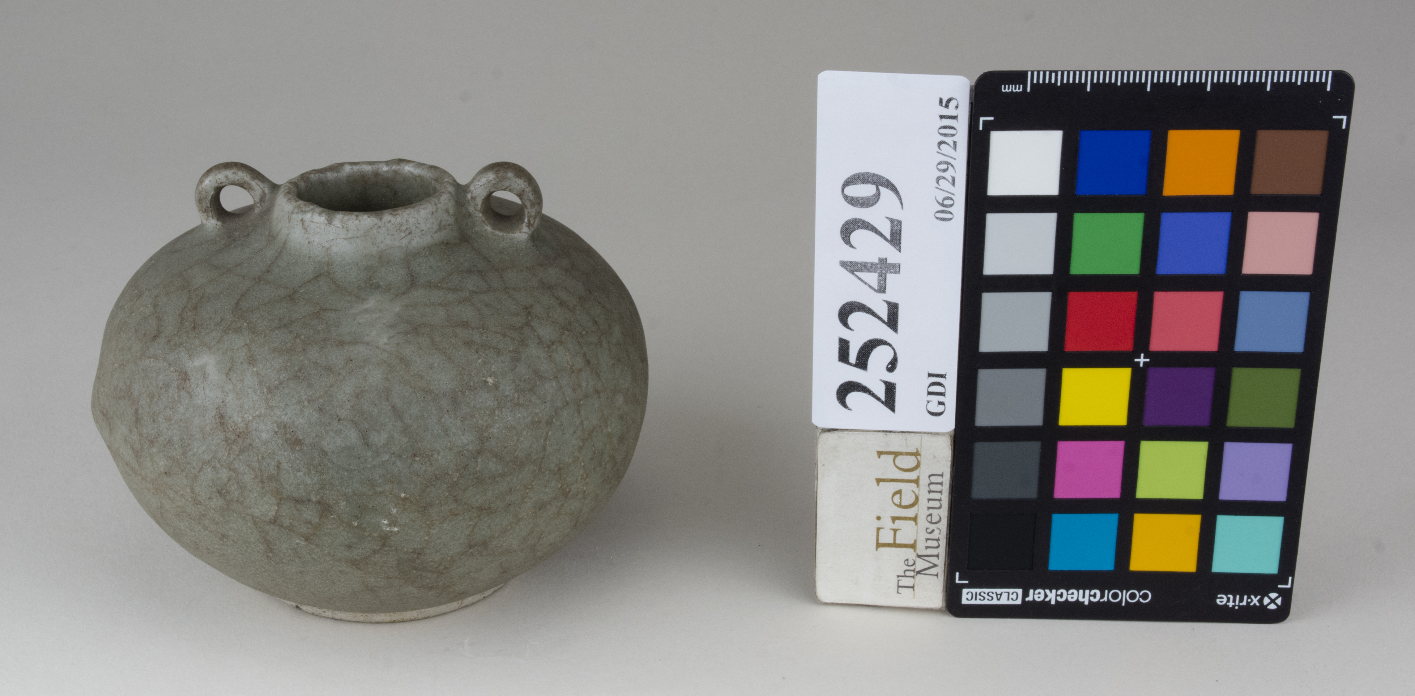 FrontAngle (c) Field Museum of Natural History - CC BY-NC 4.0