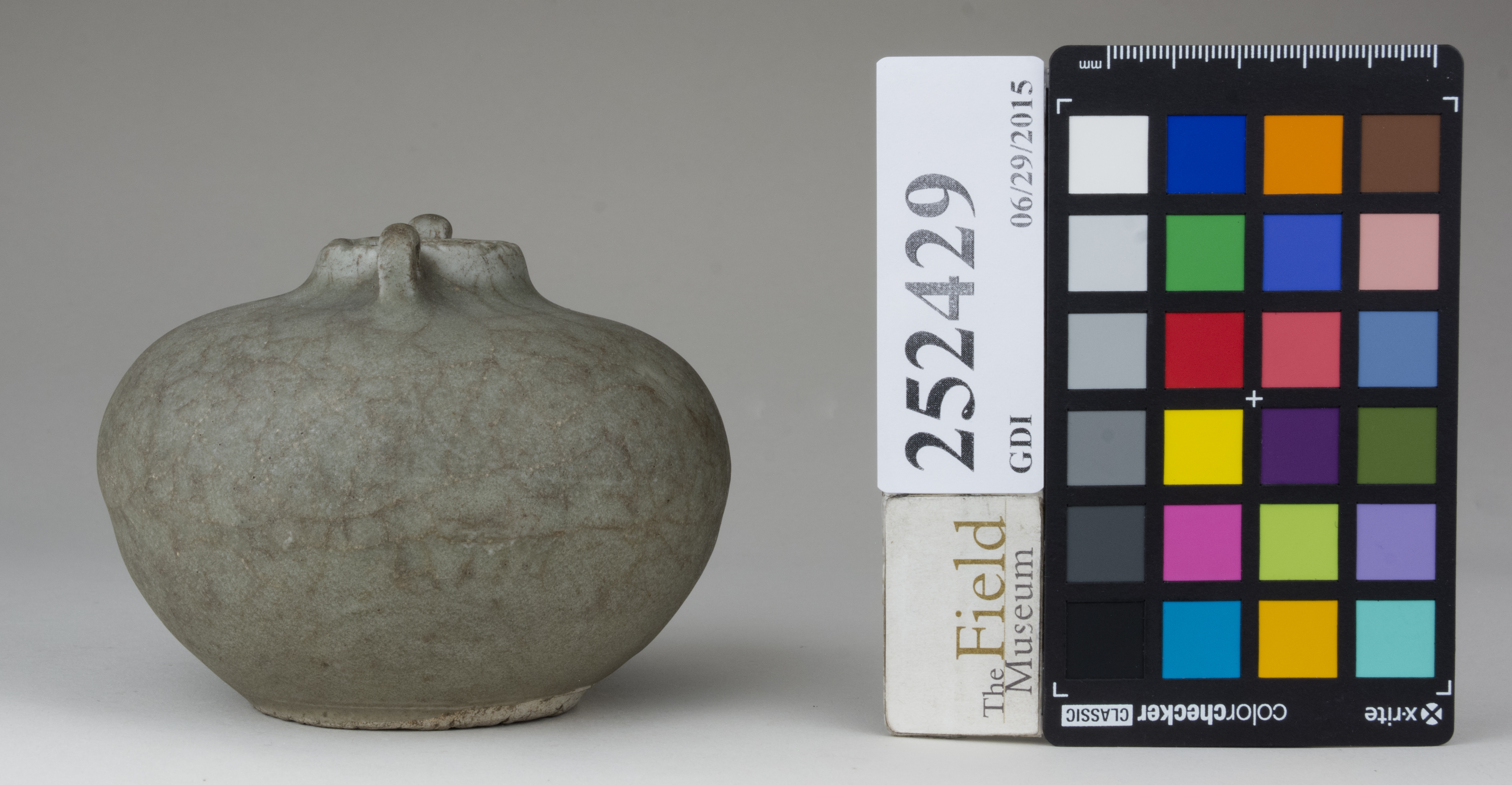 Right (c) Field Museum of Natural History - CC BY-NC 4.0