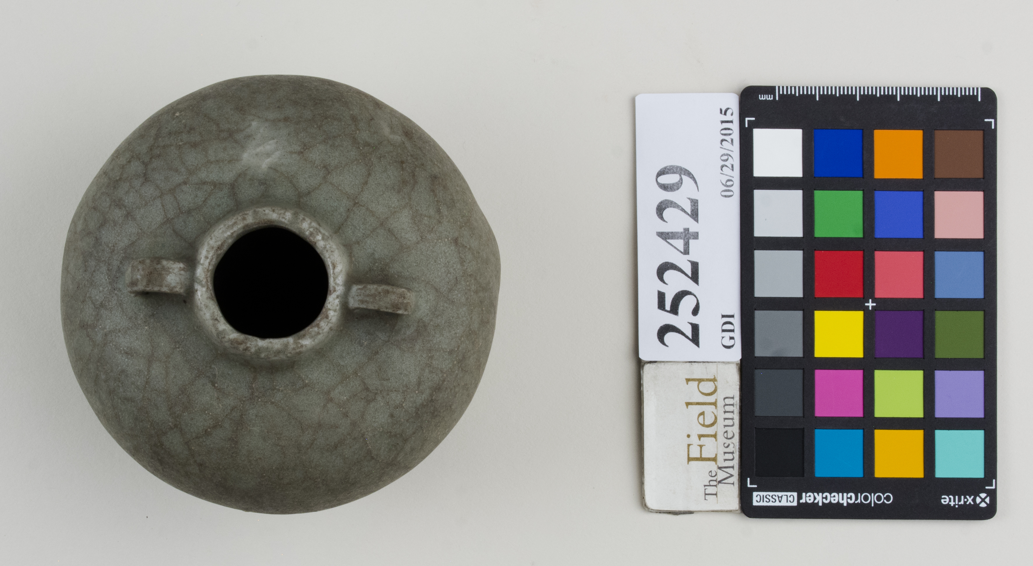 Top (c) Field Museum of Natural History - CC BY-NC 4.0