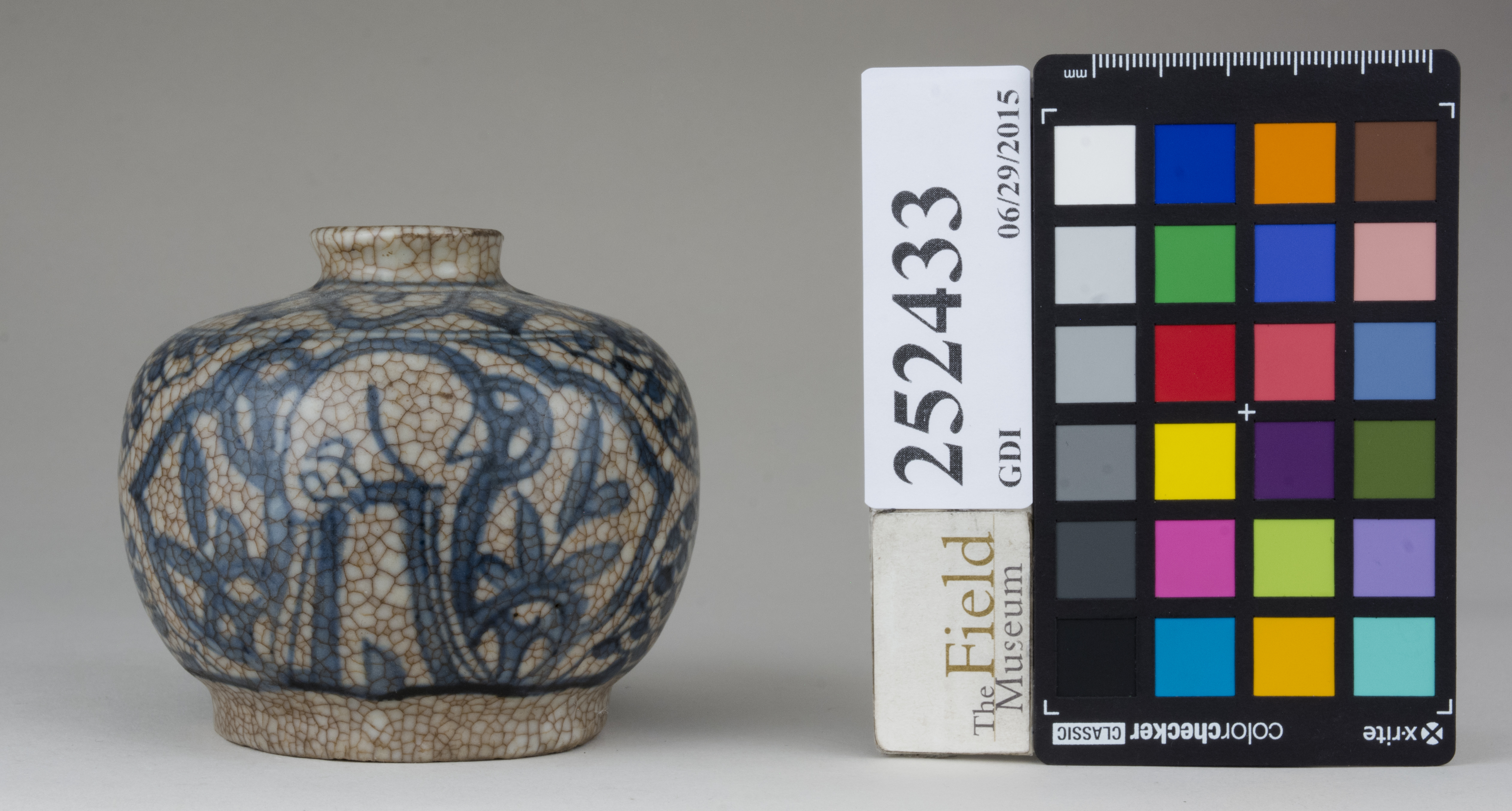 reference image, back (c) Field Museum of Natural History - CC BY-NC 4.0