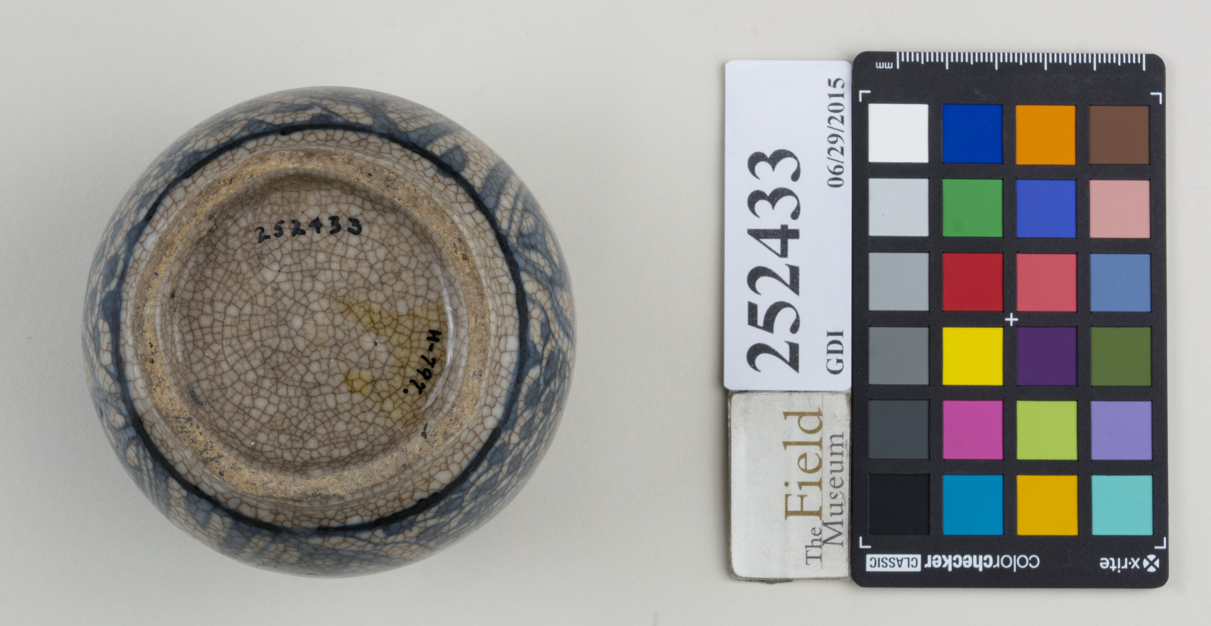 Bottom (c) Field Museum of Natural History - CC BY-NC 4.0