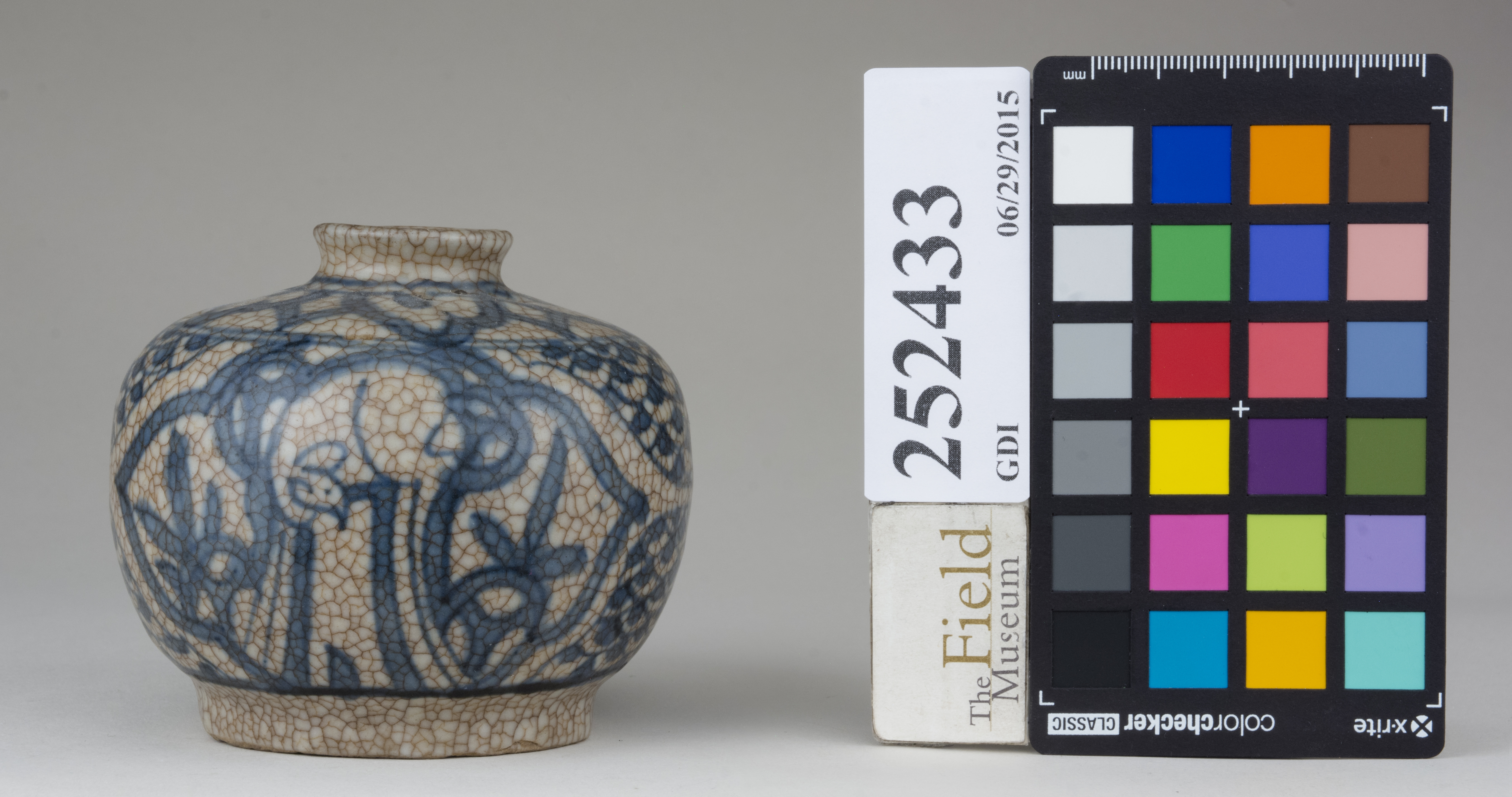 Front (c) Field Museum of Natural History - CC BY-NC 4.0