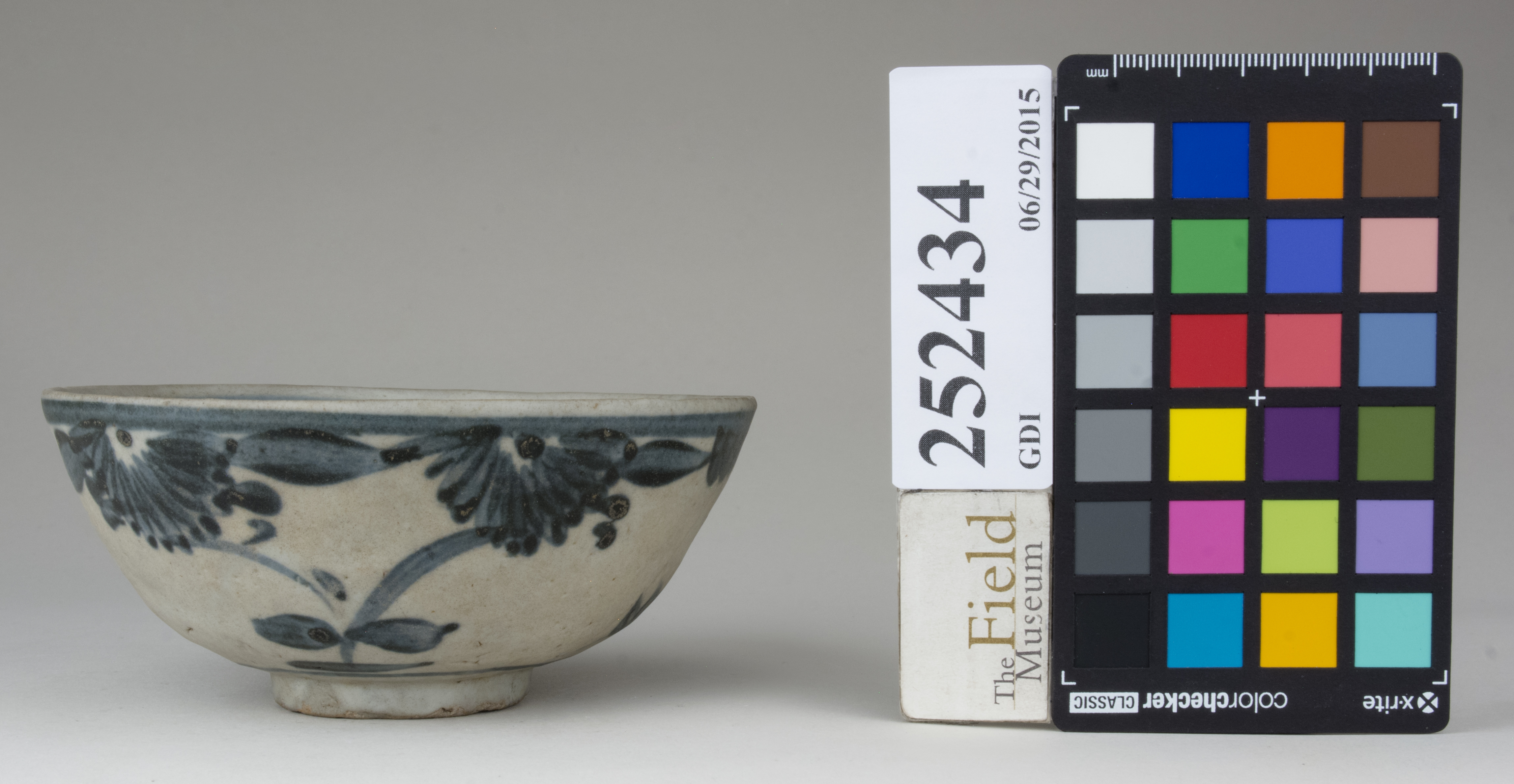 Front (c) Field Museum of Natural History - CC BY-NC 4.0