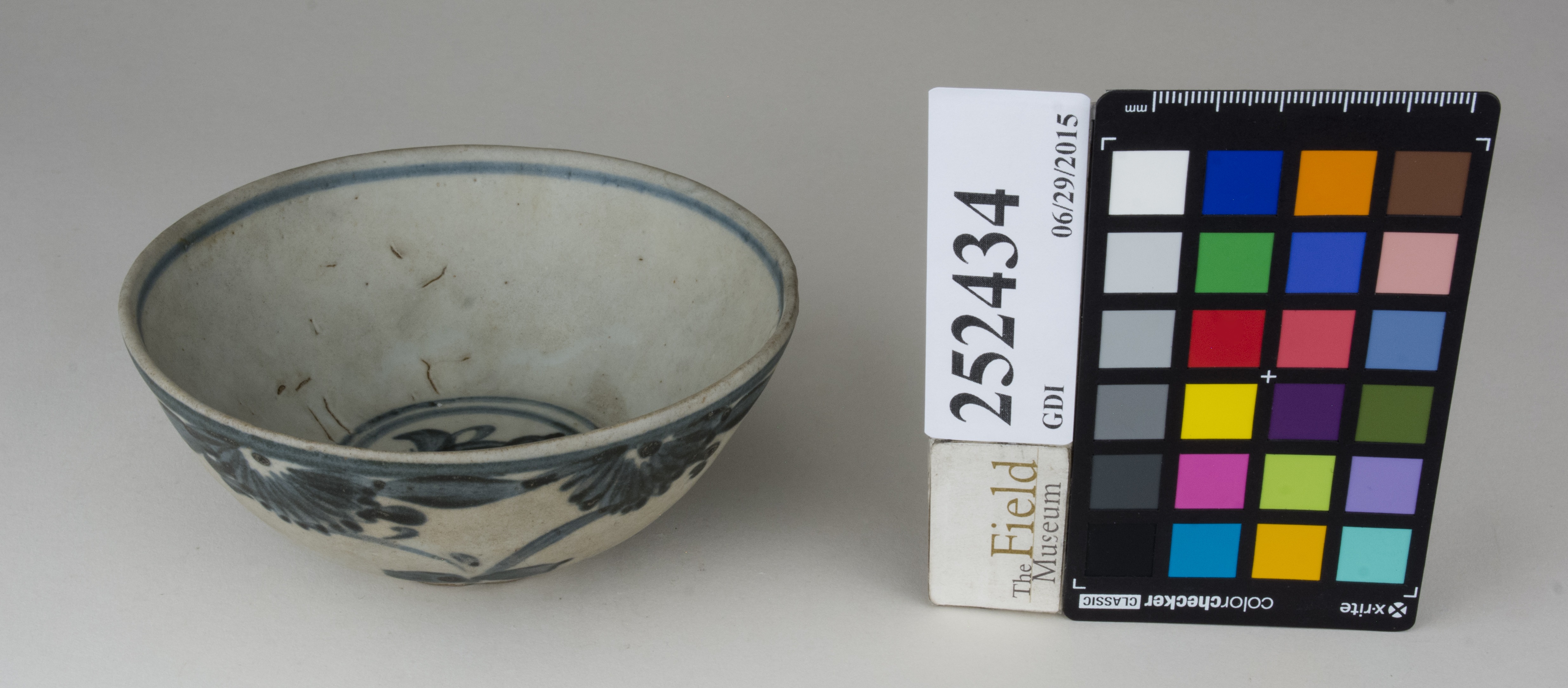 FrontAngle (c) Field Museum of Natural History - CC BY-NC 4.0