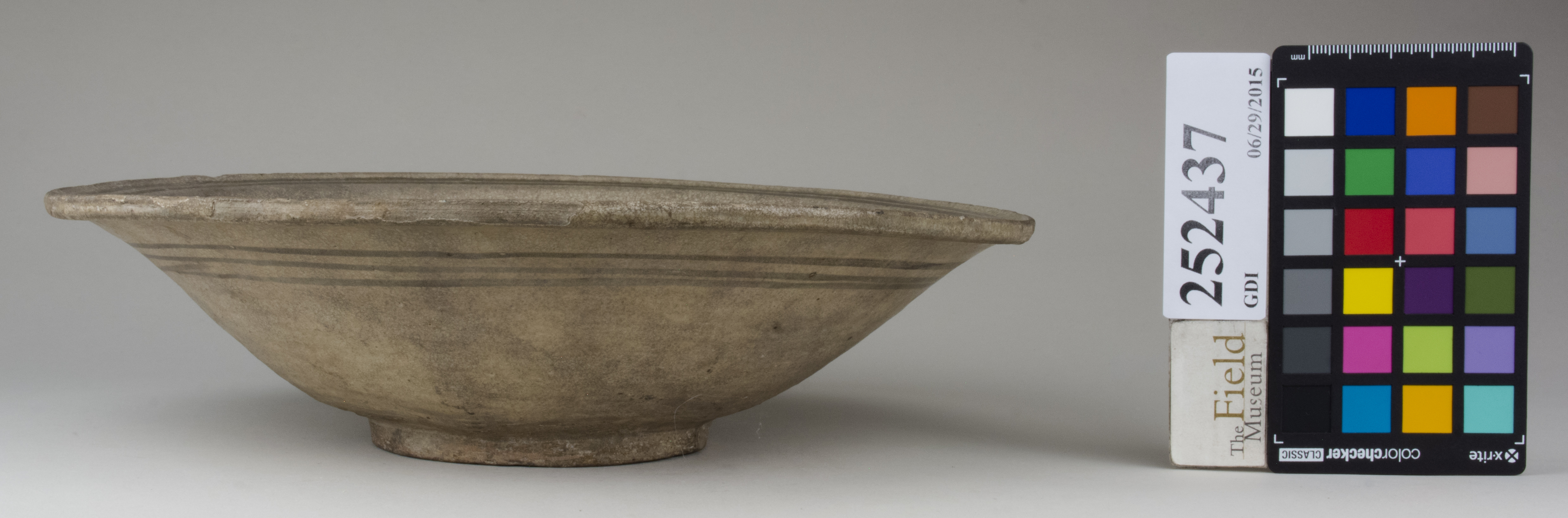 Front (c) Field Museum of Natural History - CC BY-NC 4.0