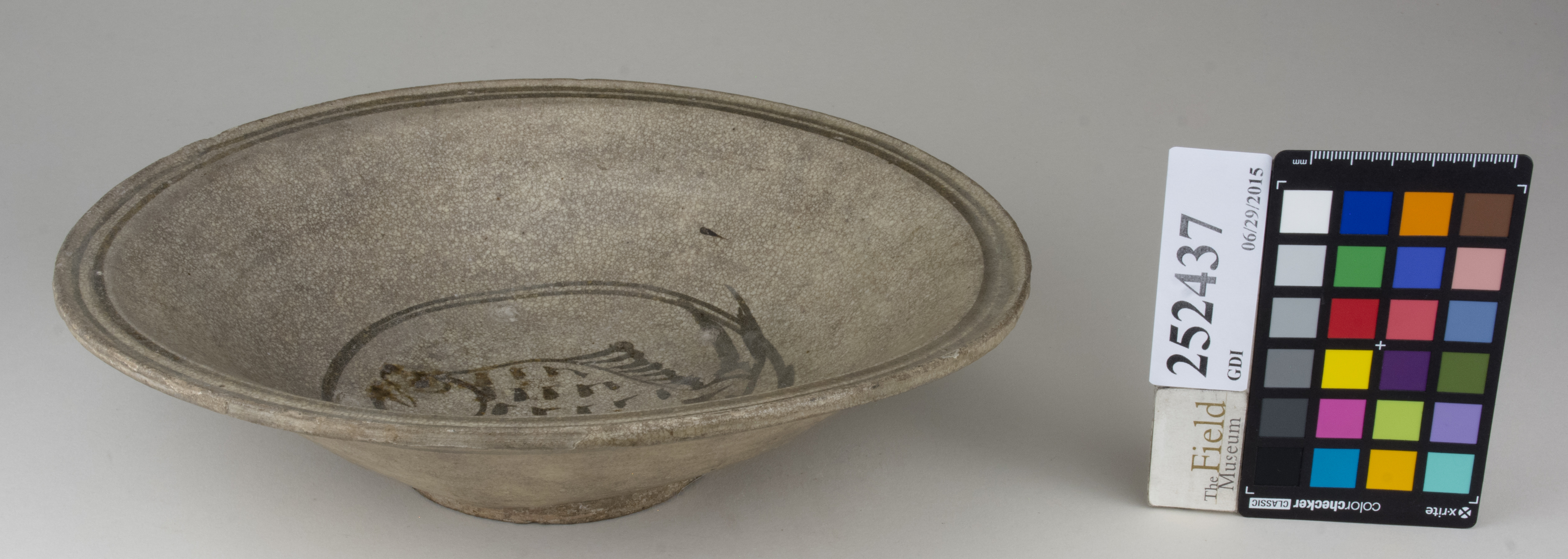 FrontAngle (c) Field Museum of Natural History - CC BY-NC 4.0