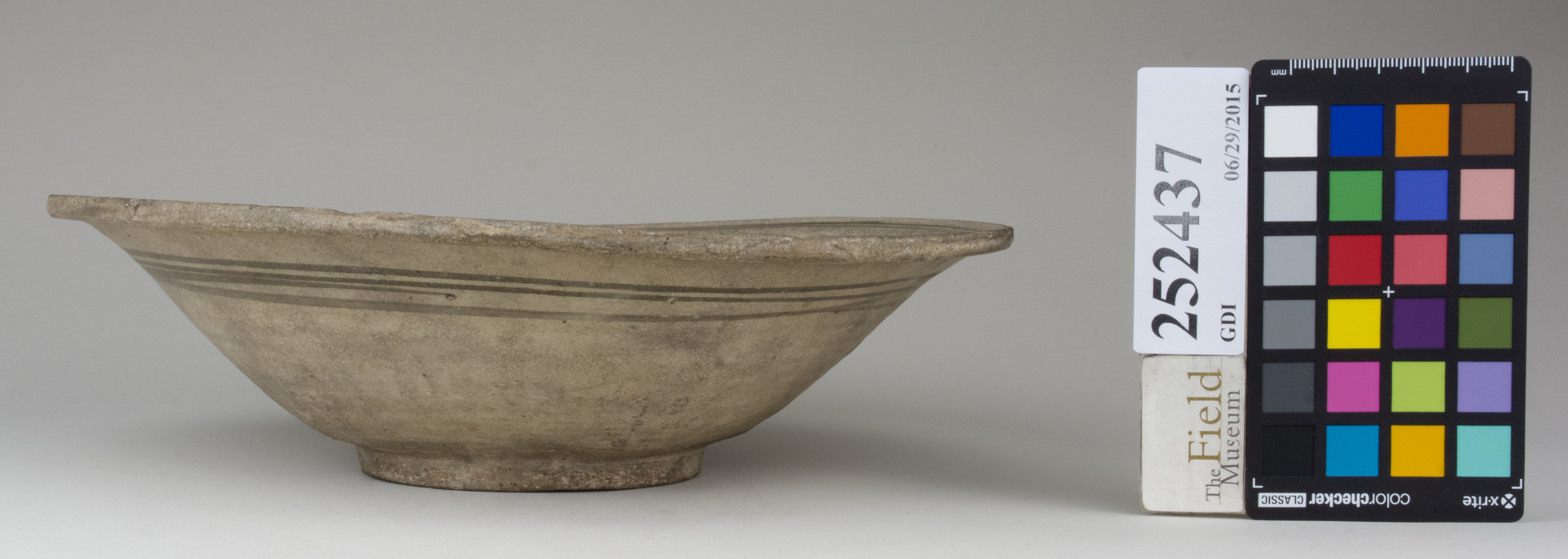 Right (c) Field Museum of Natural History - CC BY-NC 4.0