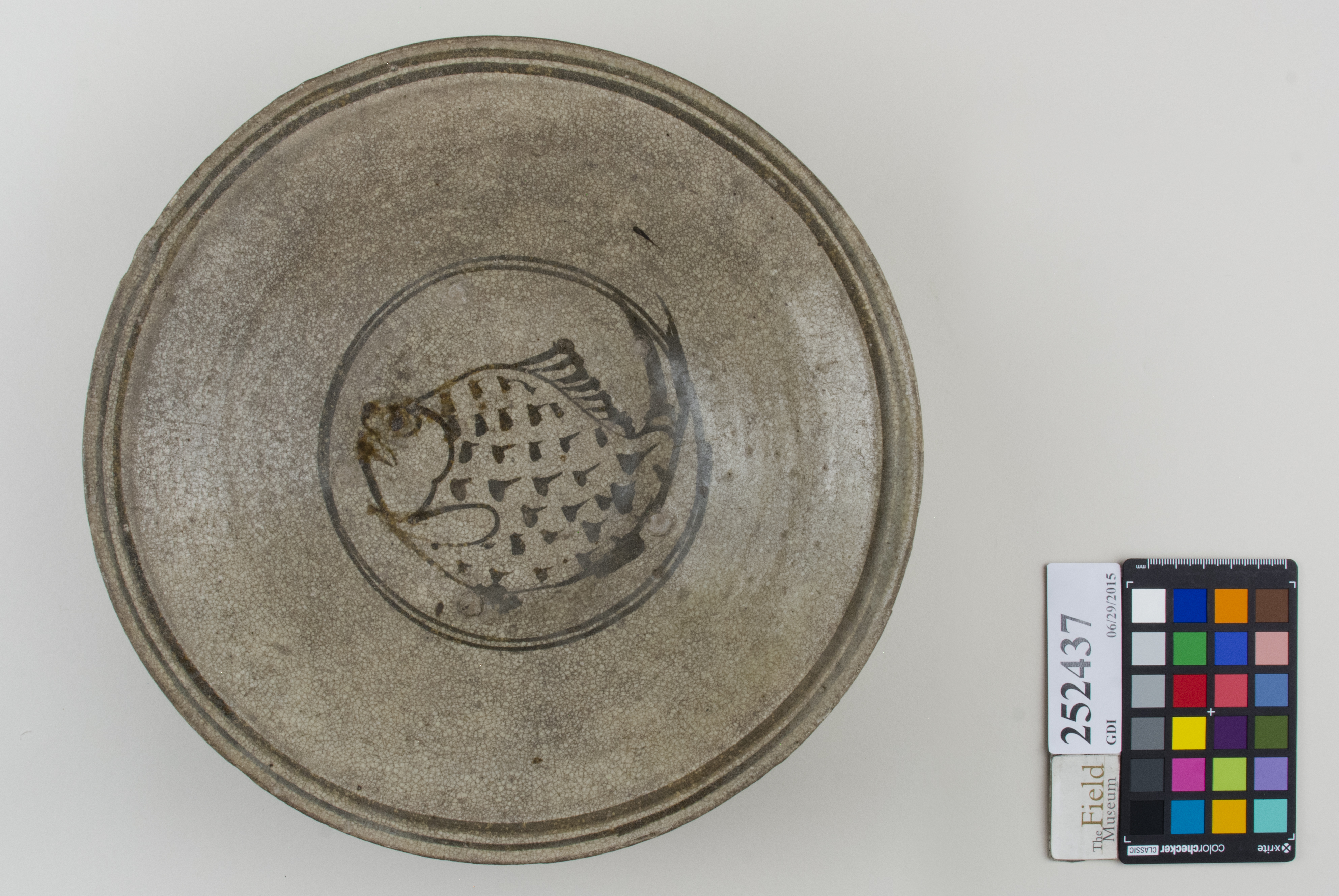 Top (c) Field Museum of Natural History - CC BY-NC 4.0