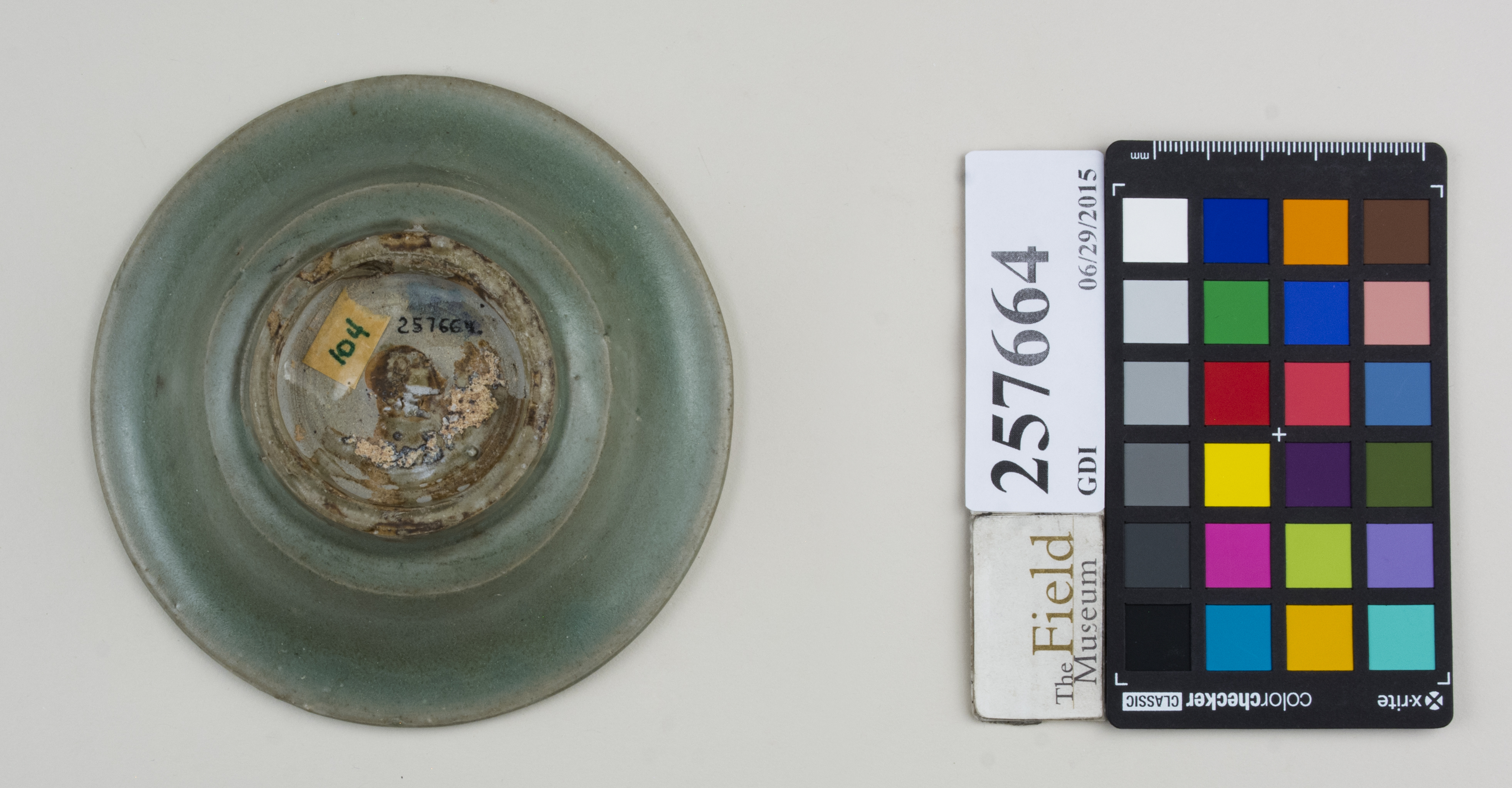 Bottom (c) Field Museum of Natural History - CC BY-NC 4.0