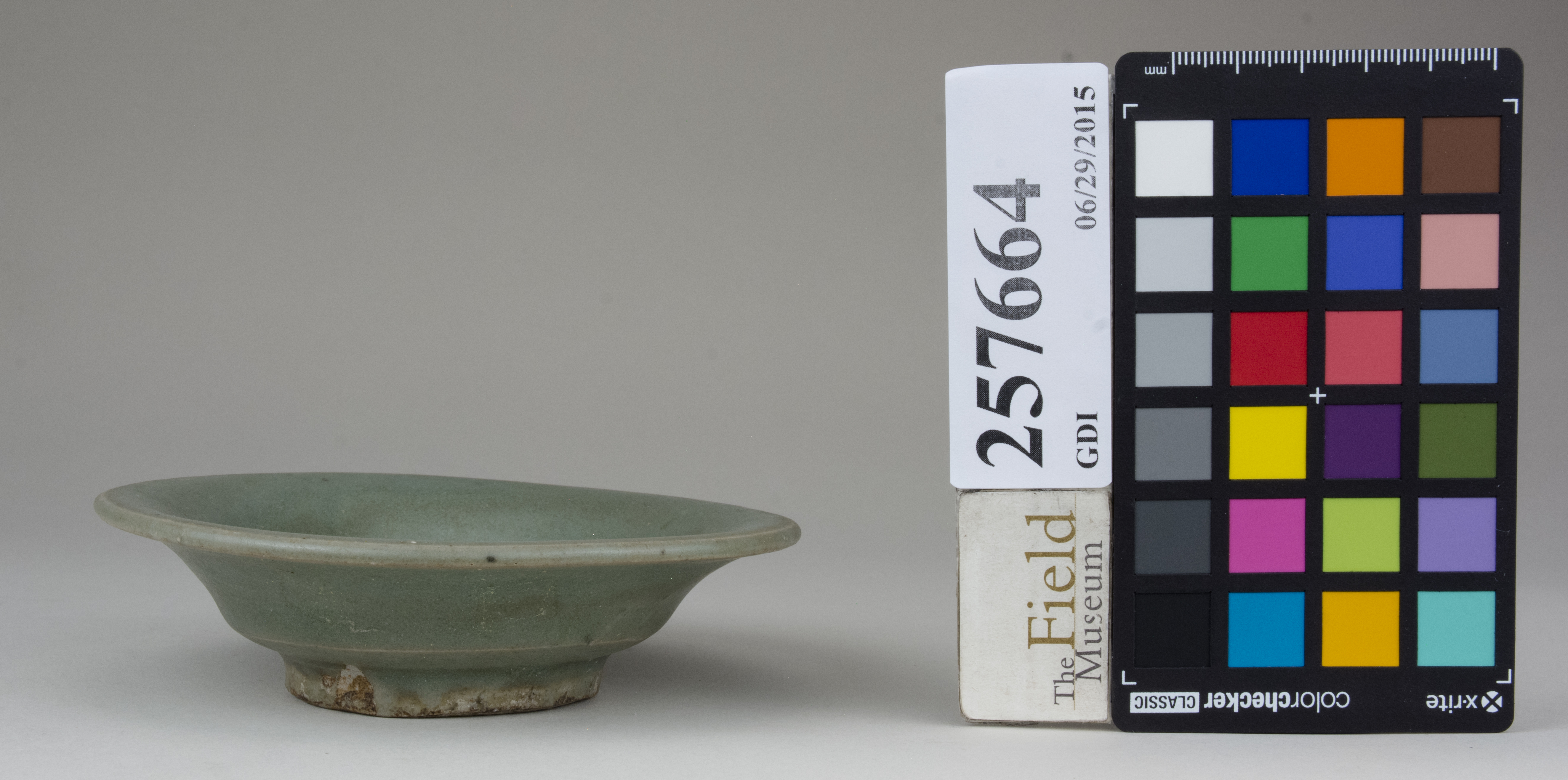 Front (c) Field Museum of Natural History - CC BY-NC 4.0