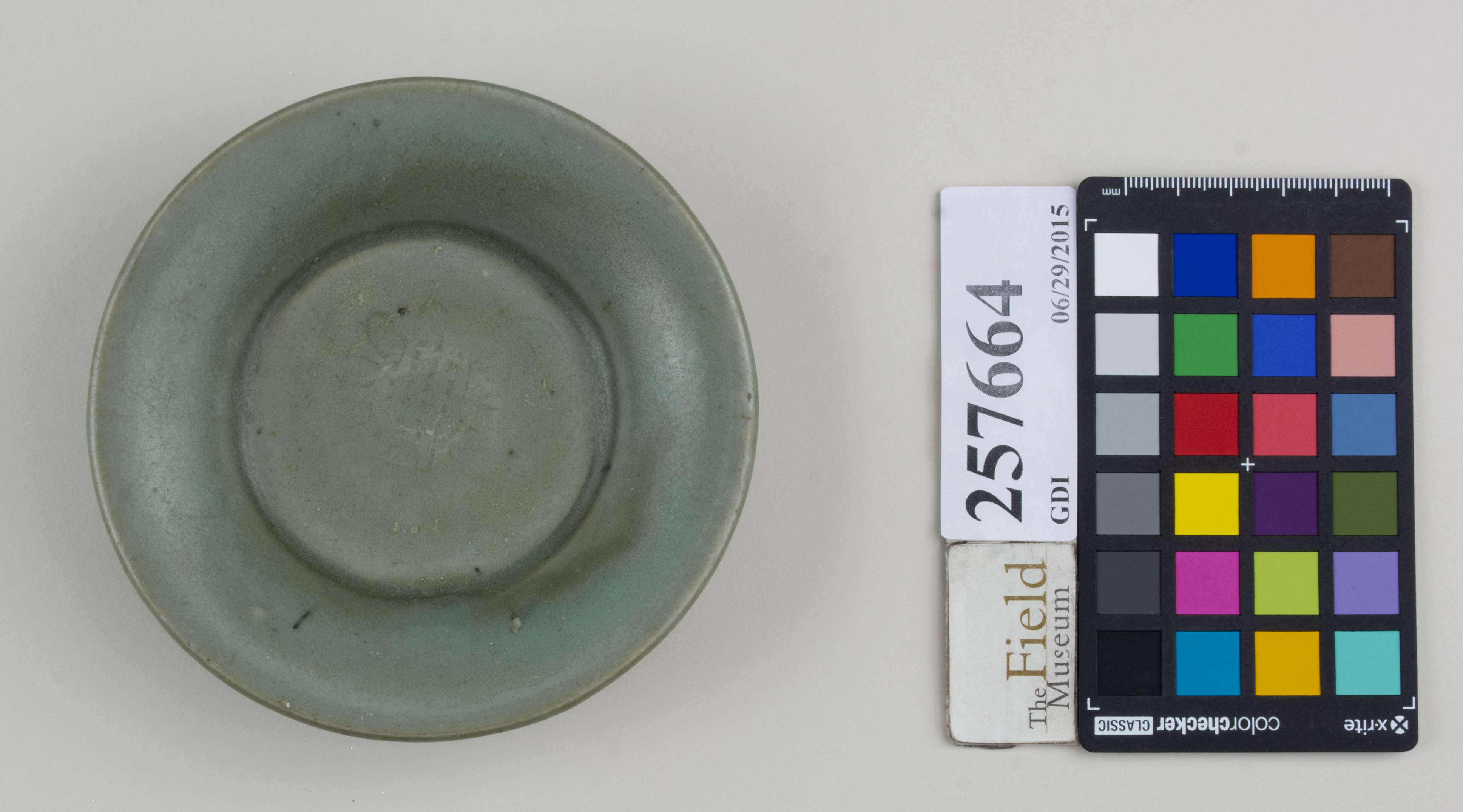 Top (c) Field Museum of Natural History - CC BY-NC 4.0