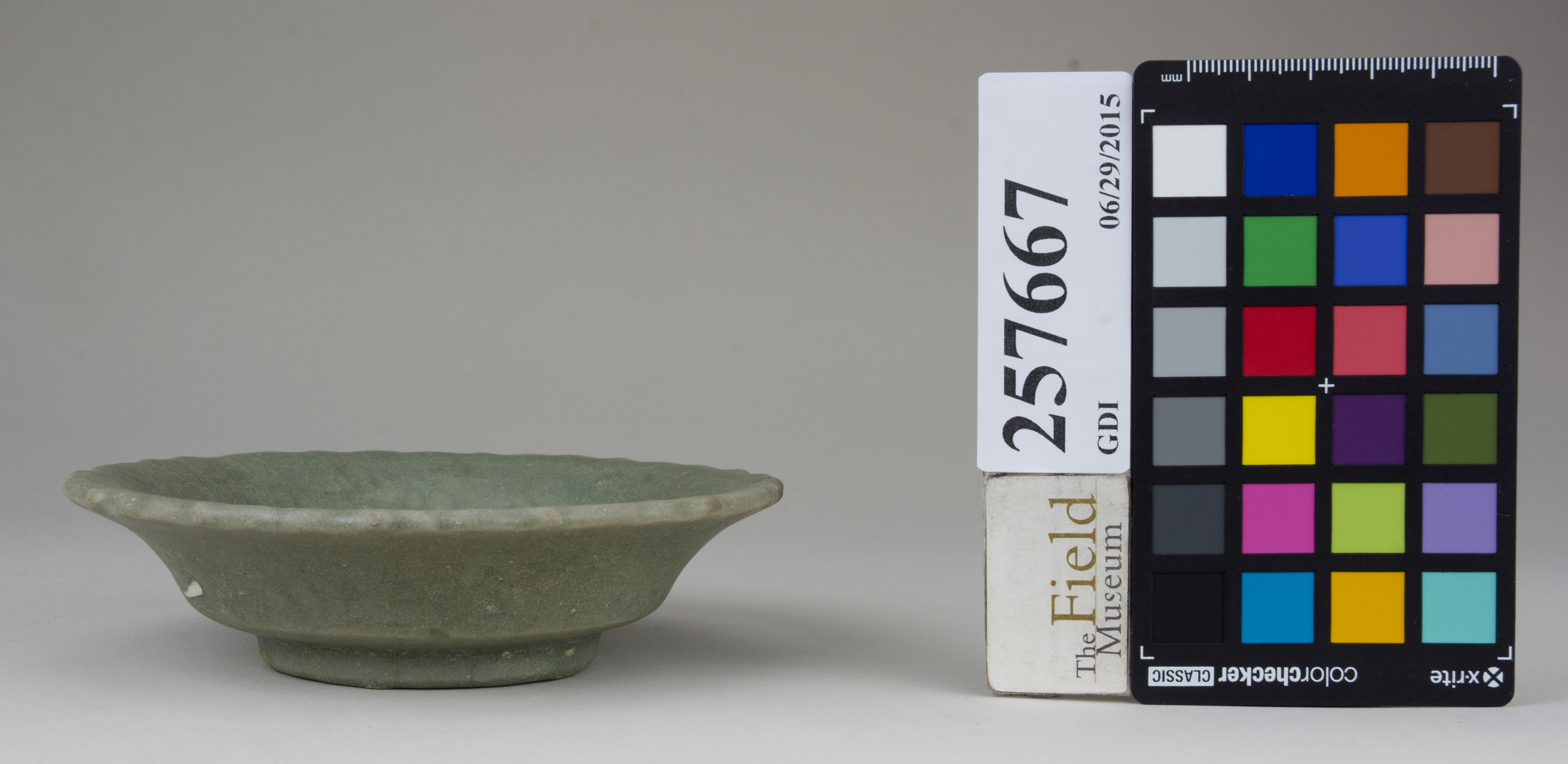 Front (c) Field Museum of Natural History - CC BY-NC 4.0