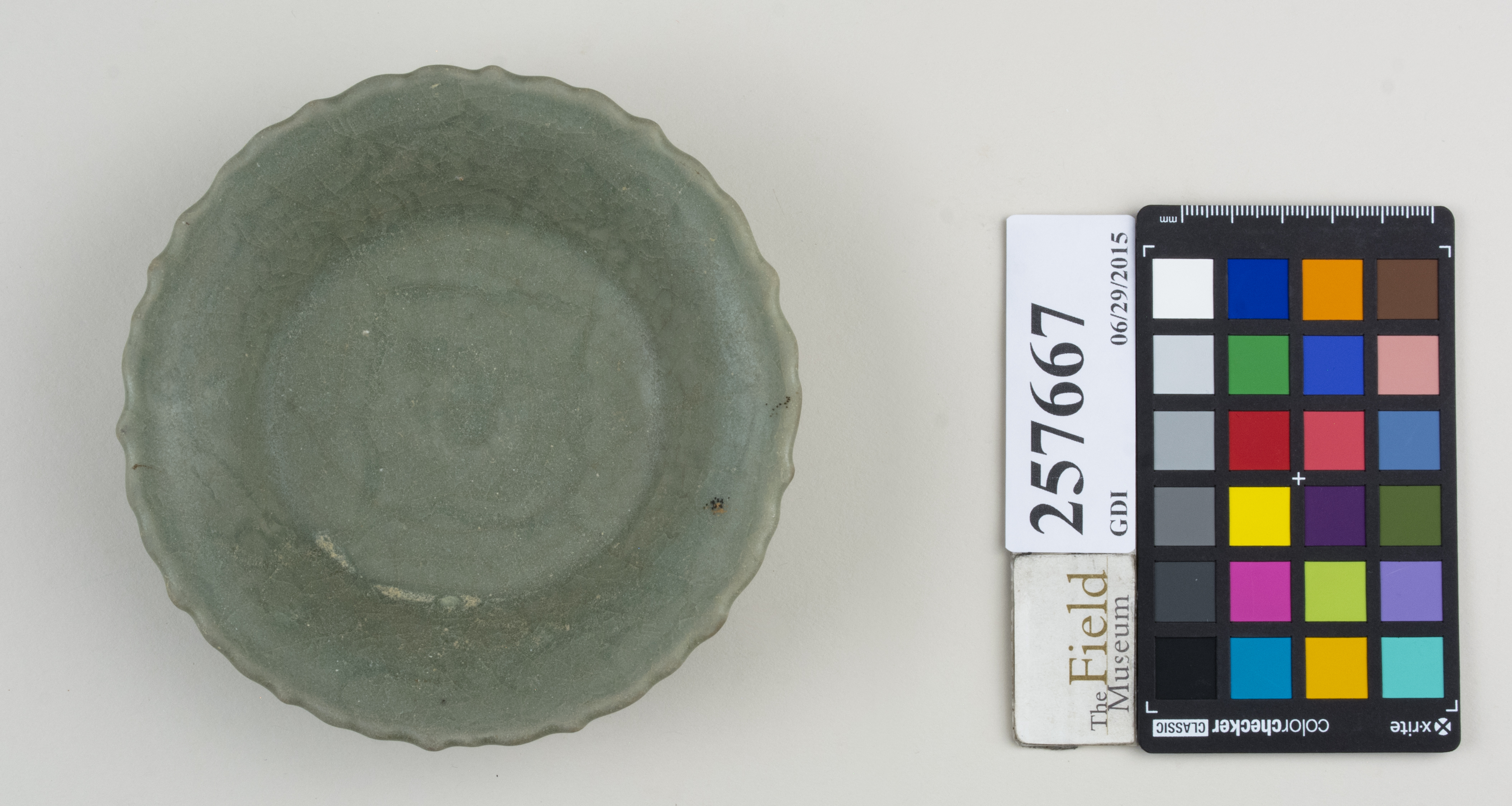 Top (c) Field Museum of Natural History - CC BY-NC 4.0