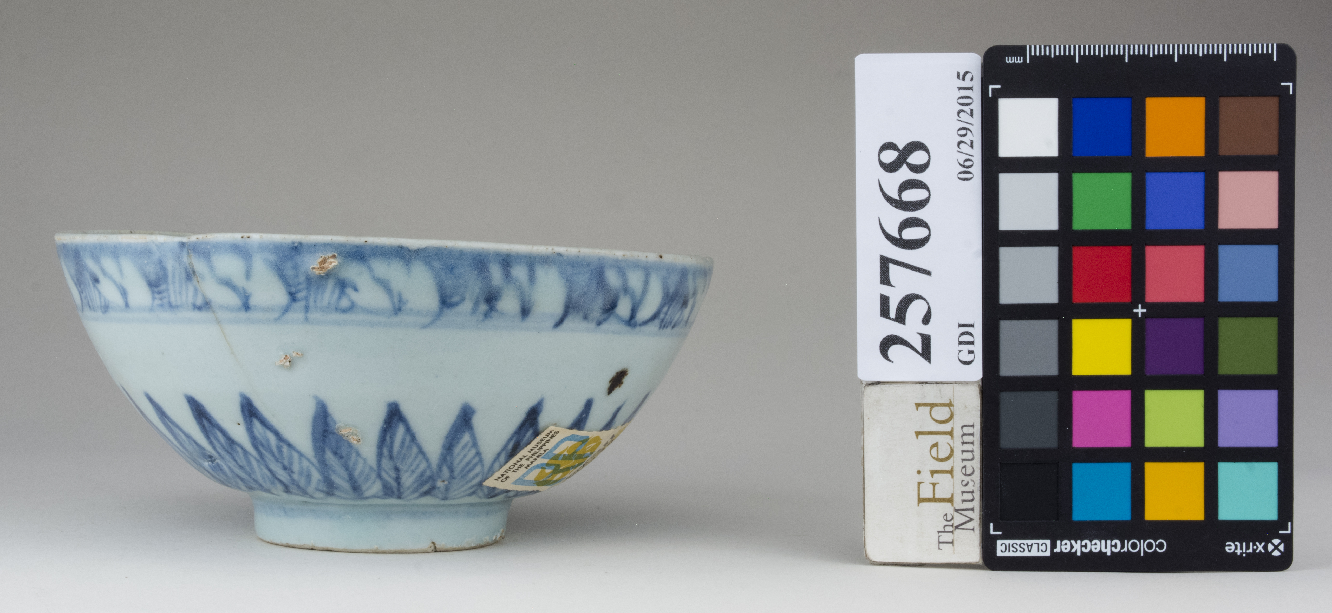 reference image, back (c) Field Museum of Natural History - CC BY-NC 4.0