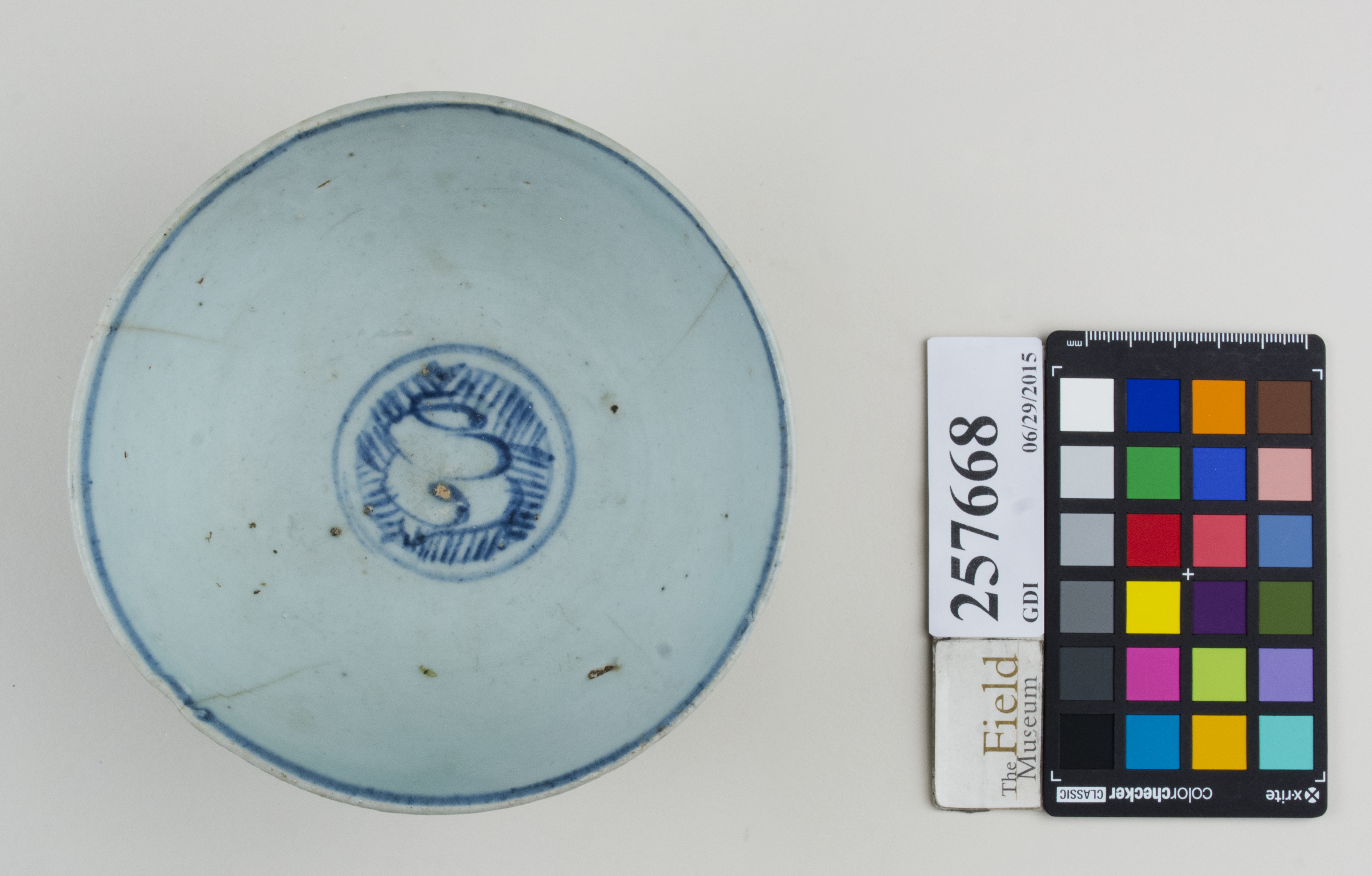 Top (c) Field Museum of Natural History - CC BY-NC 4.0