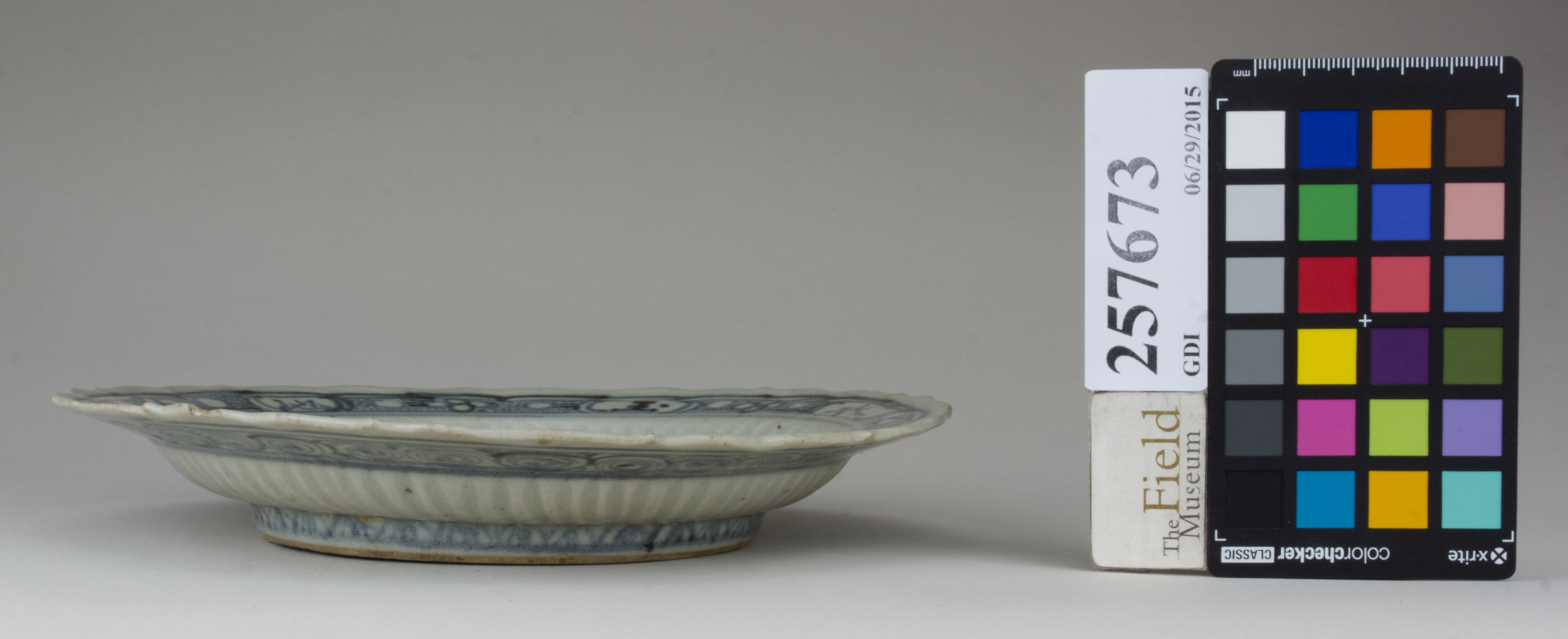 reference image, back (c) Field Museum of Natural History - CC BY-NC 4.0