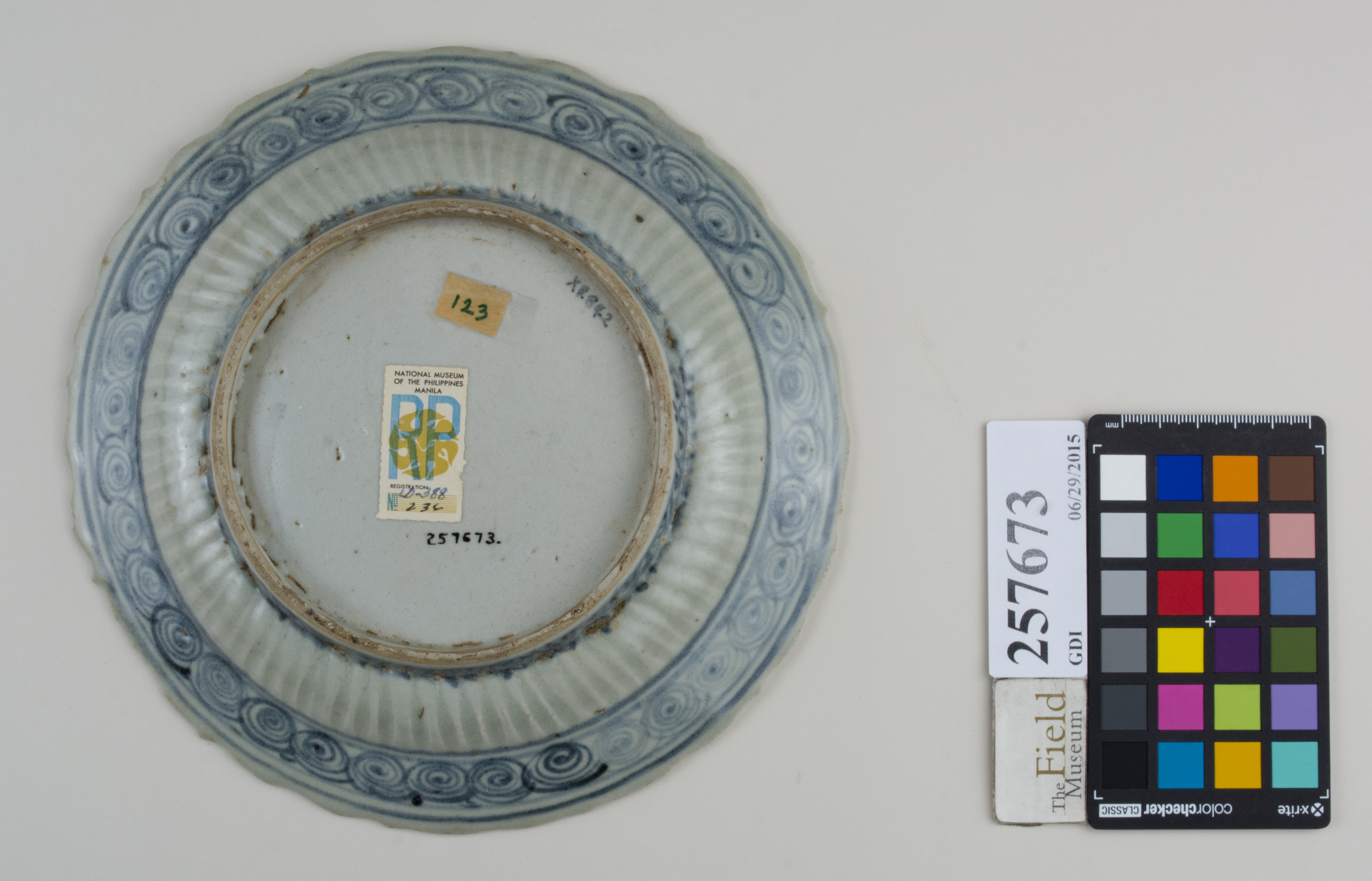 Bottom (c) Field Museum of Natural History - CC BY-NC 4.0