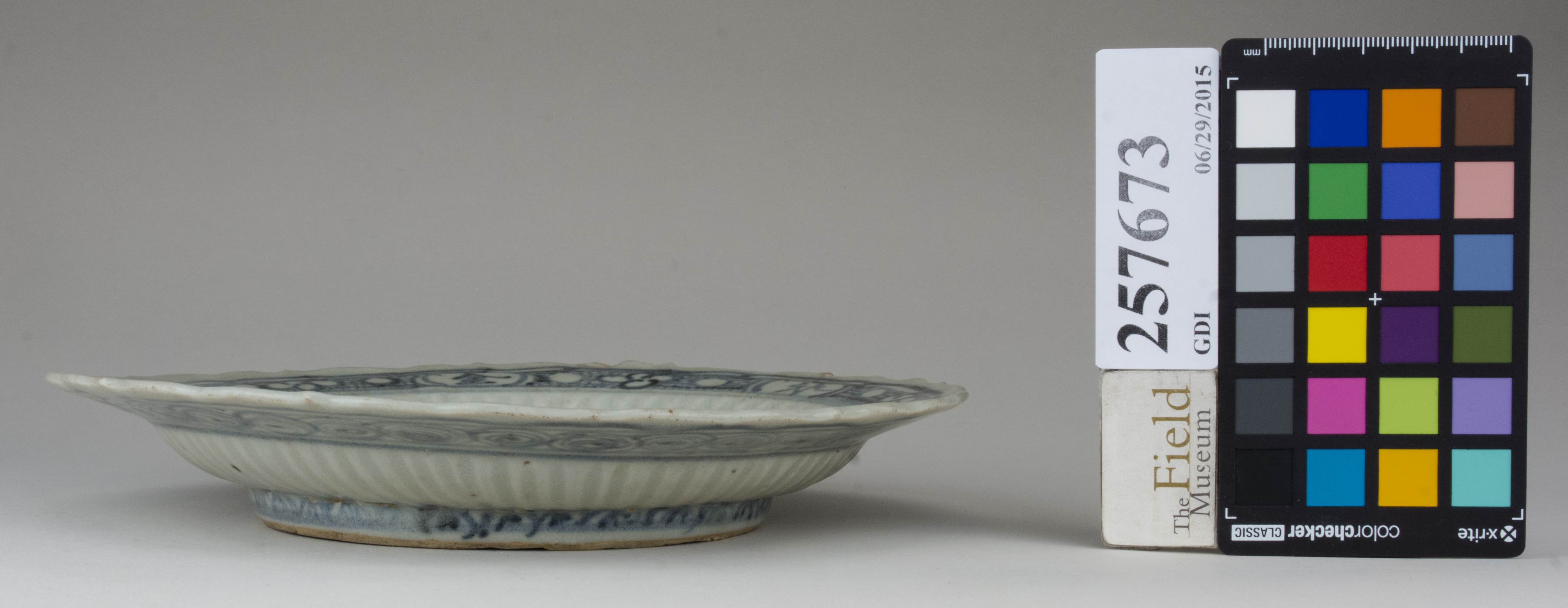 Front (c) Field Museum of Natural History - CC BY-NC 4.0