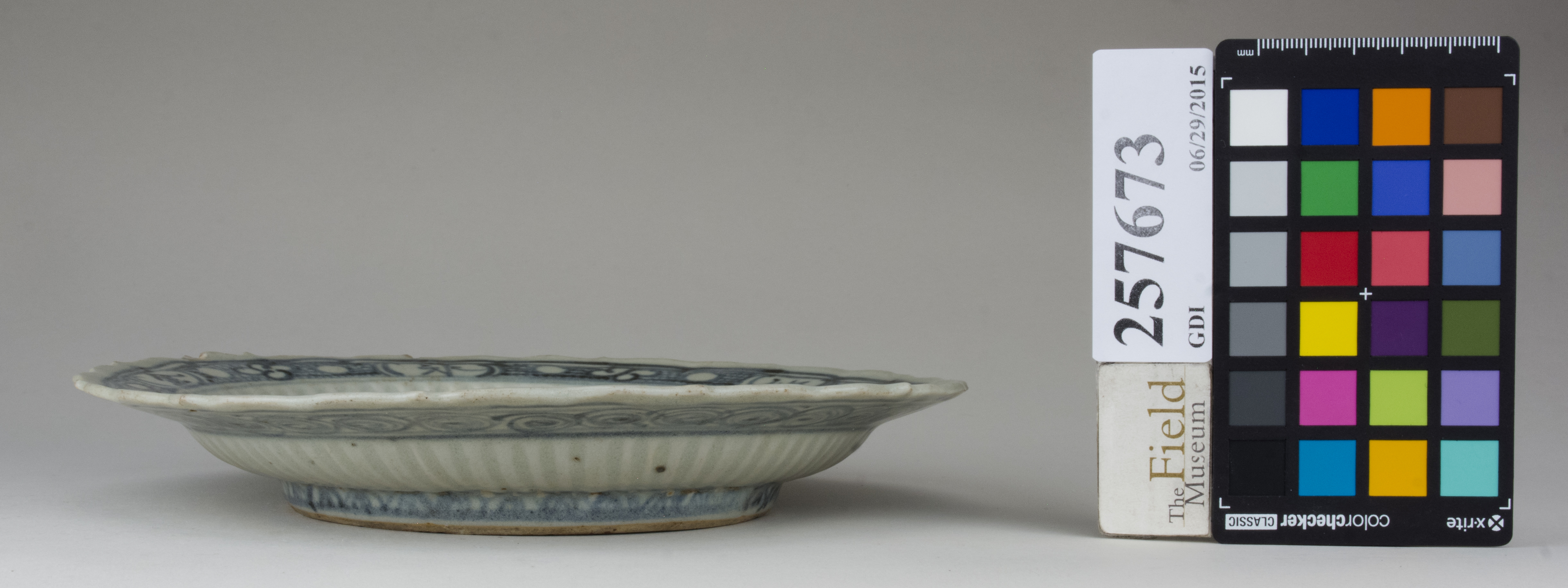 Right (c) Field Museum of Natural History - CC BY-NC 4.0