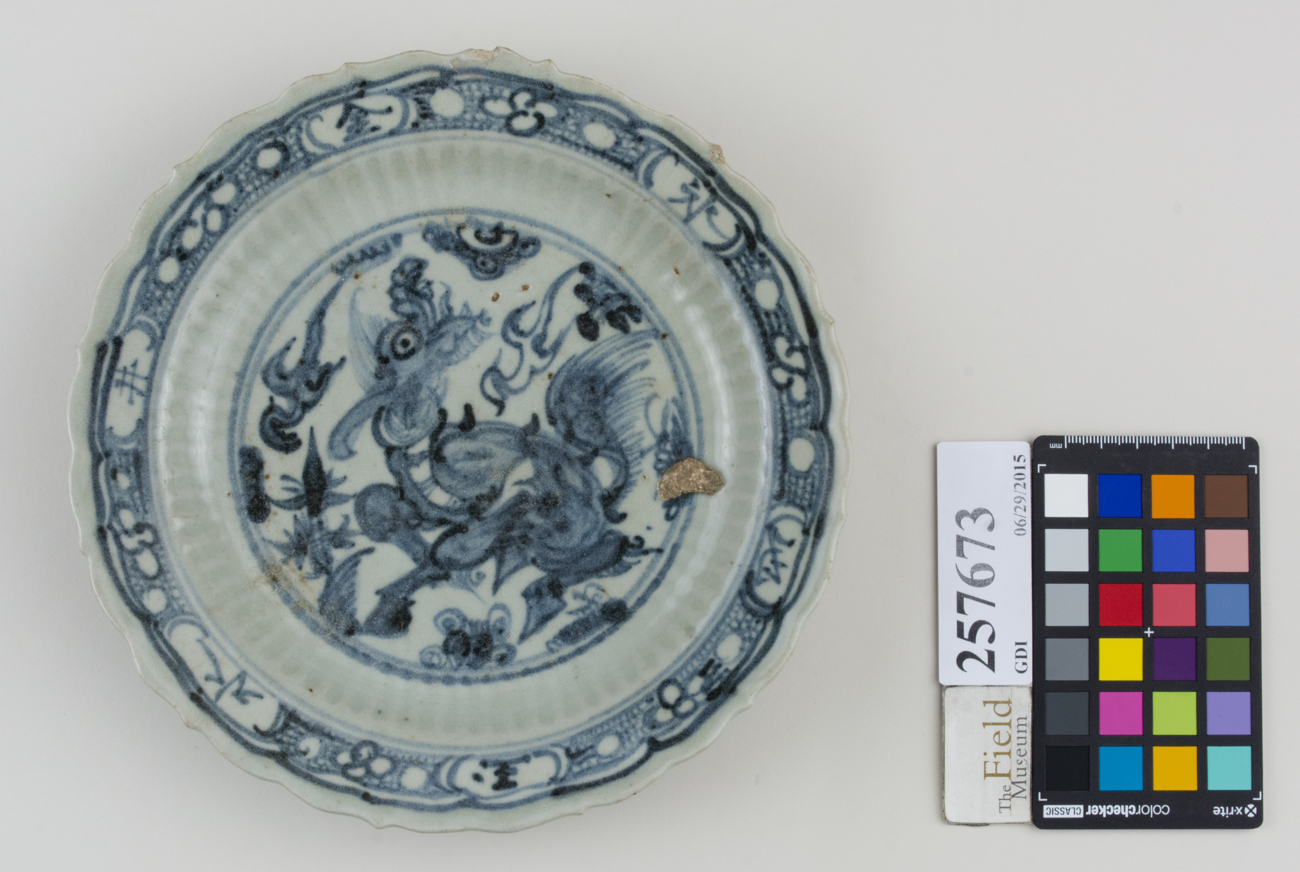 Top (c) Field Museum of Natural History - CC BY-NC 4.0