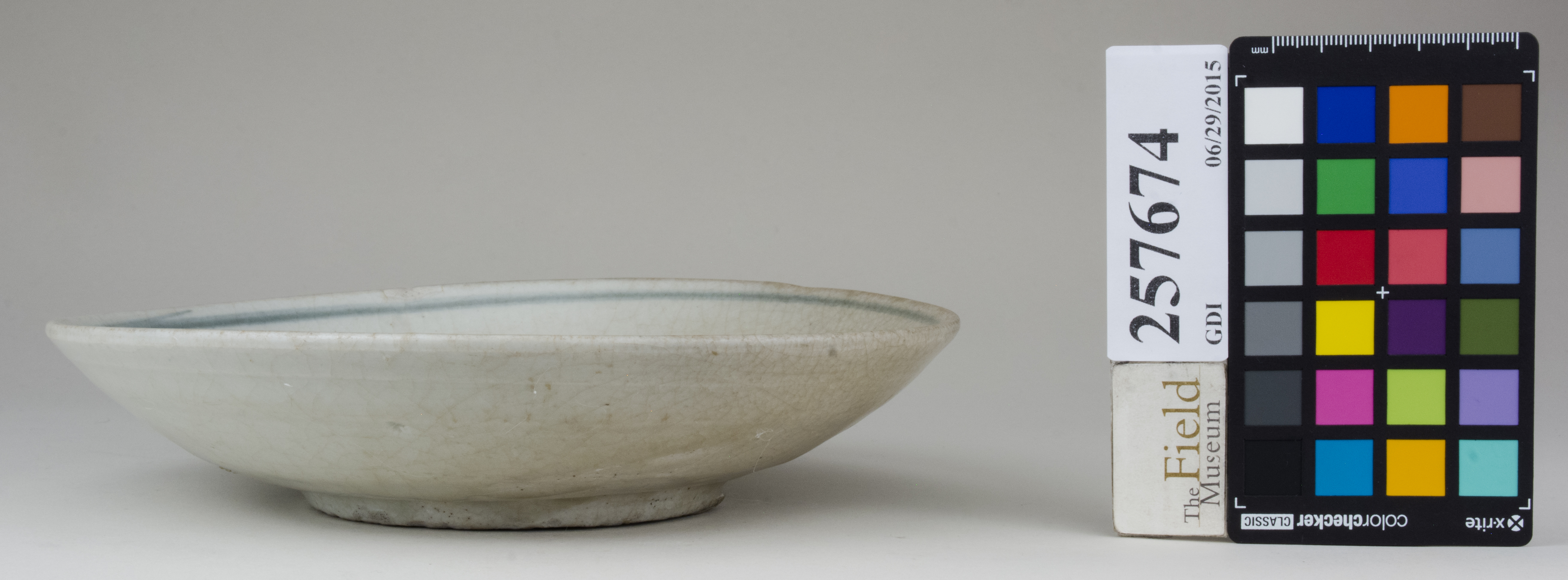 reference image, back (c) Field Museum of Natural History - CC BY-NC 4.0