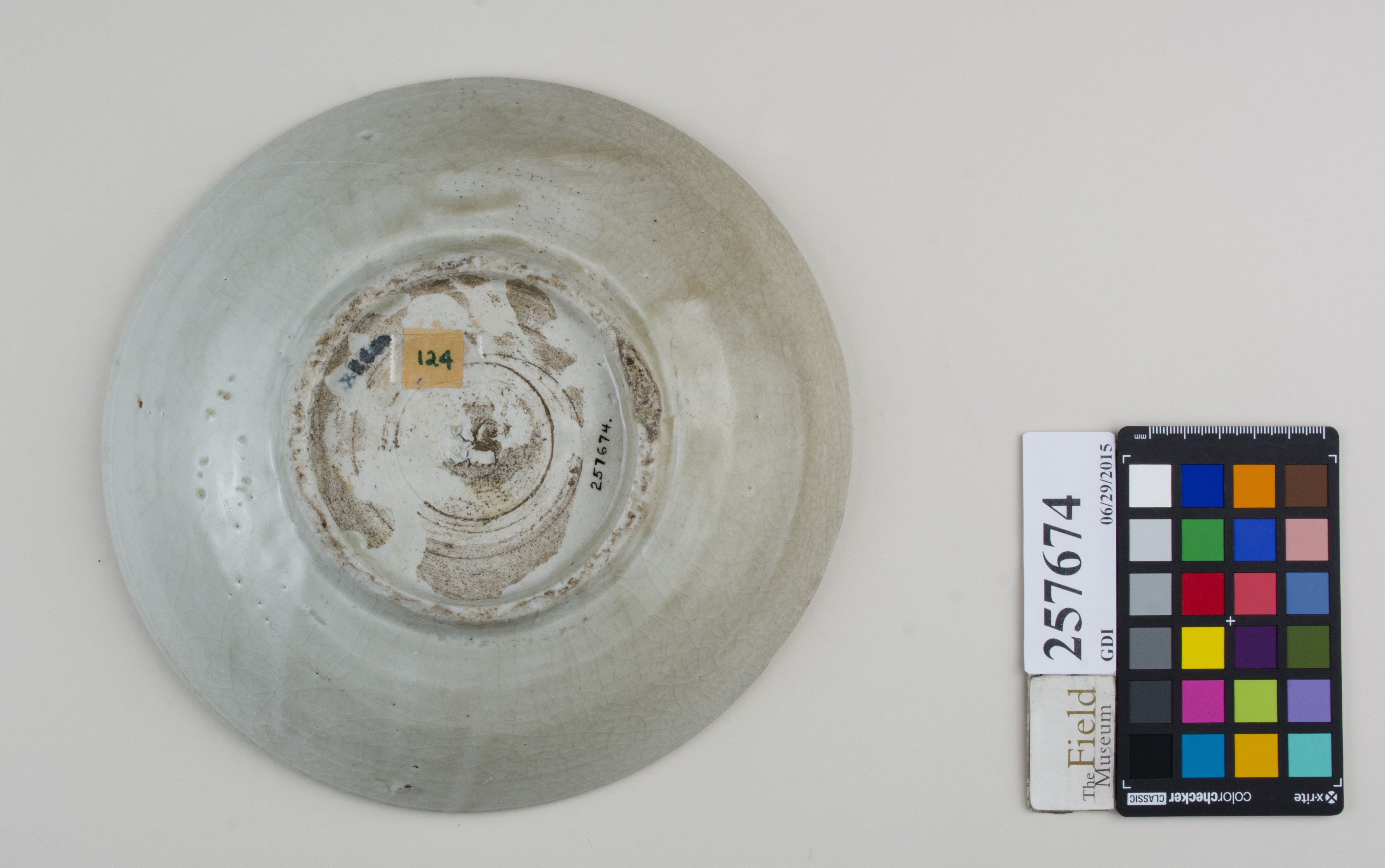 Bottom (c) Field Museum of Natural History - CC BY-NC 4.0