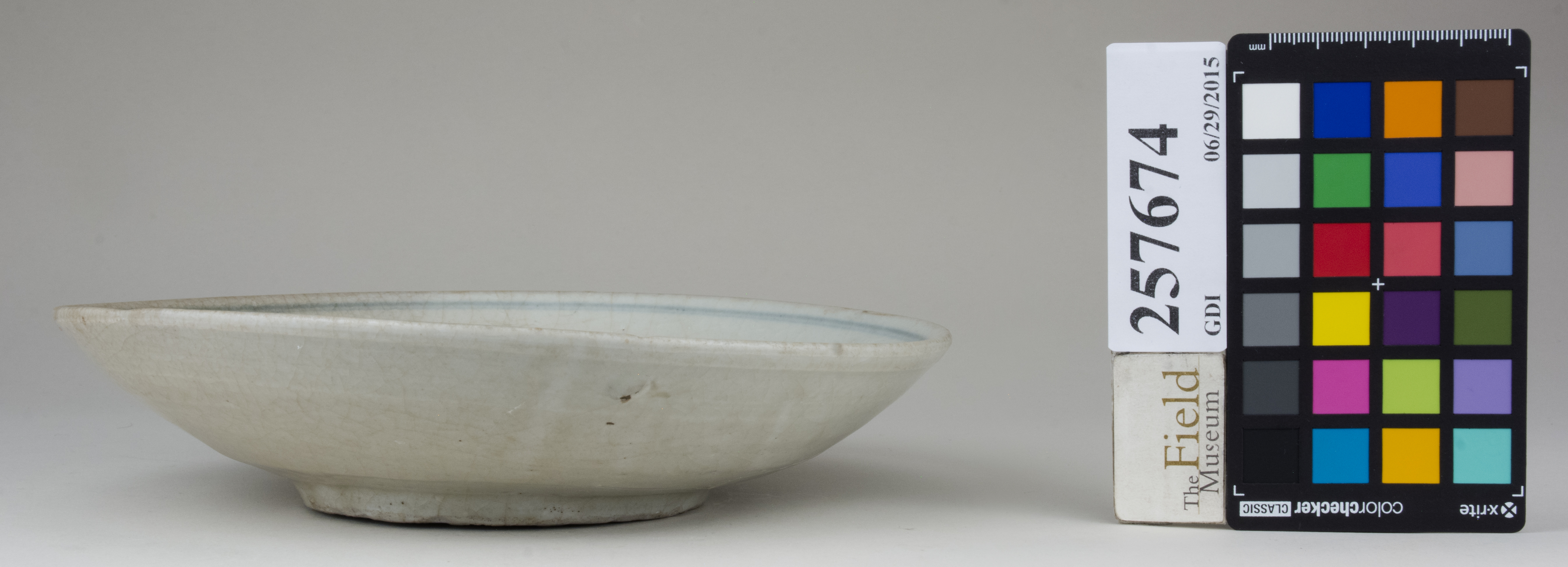 Front (c) Field Museum of Natural History - CC BY-NC 4.0