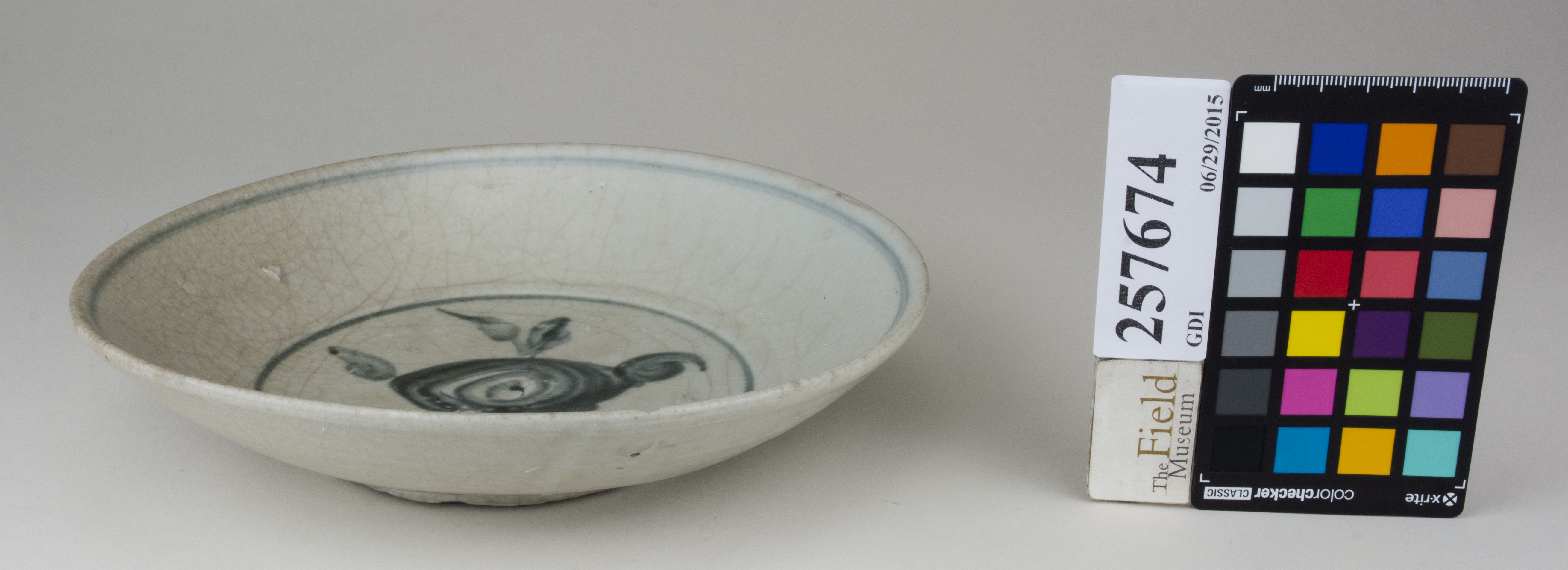 FrontAngle (c) Field Museum of Natural History - CC BY-NC 4.0