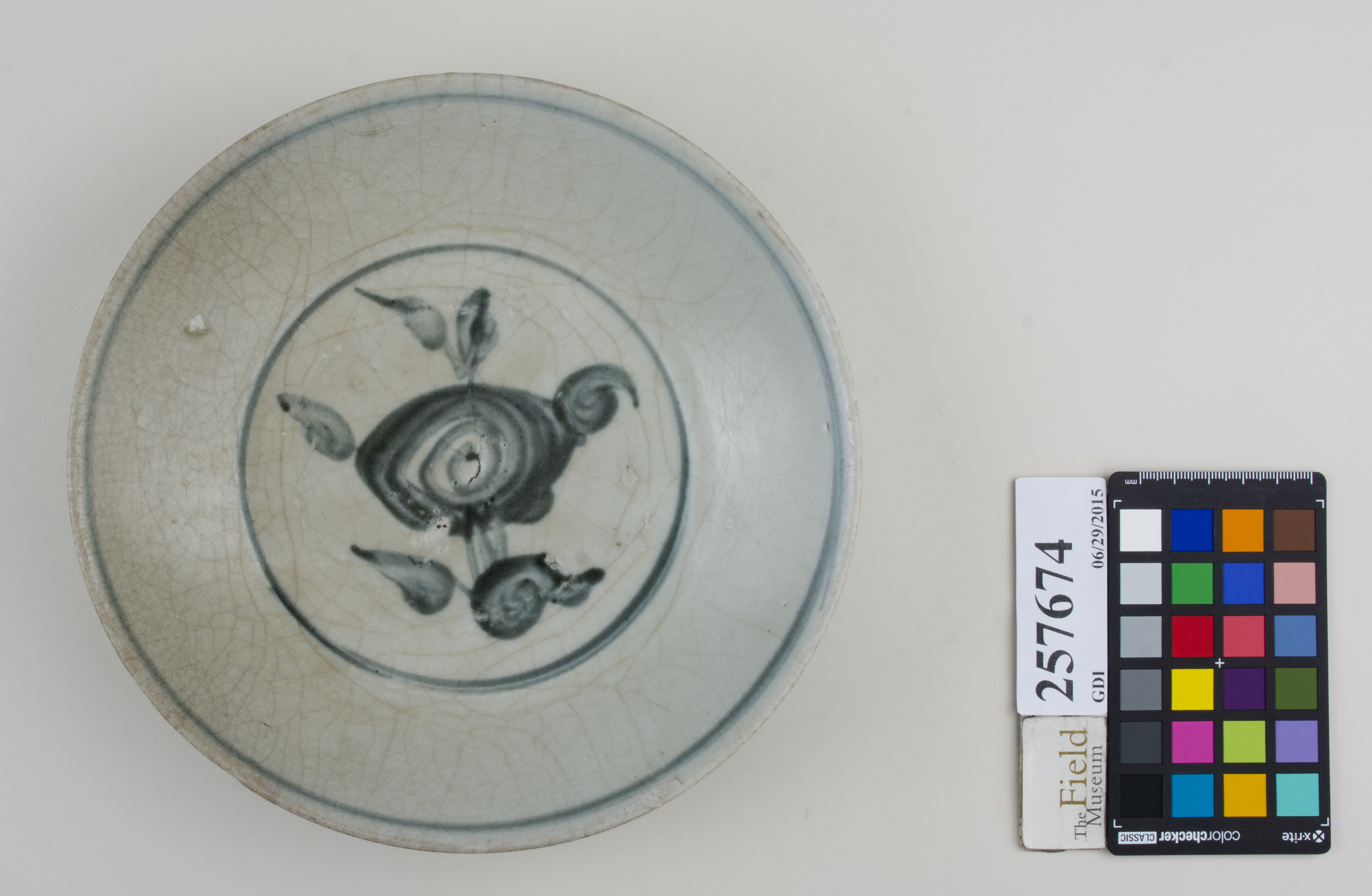 Top (c) Field Museum of Natural History - CC BY-NC 4.0