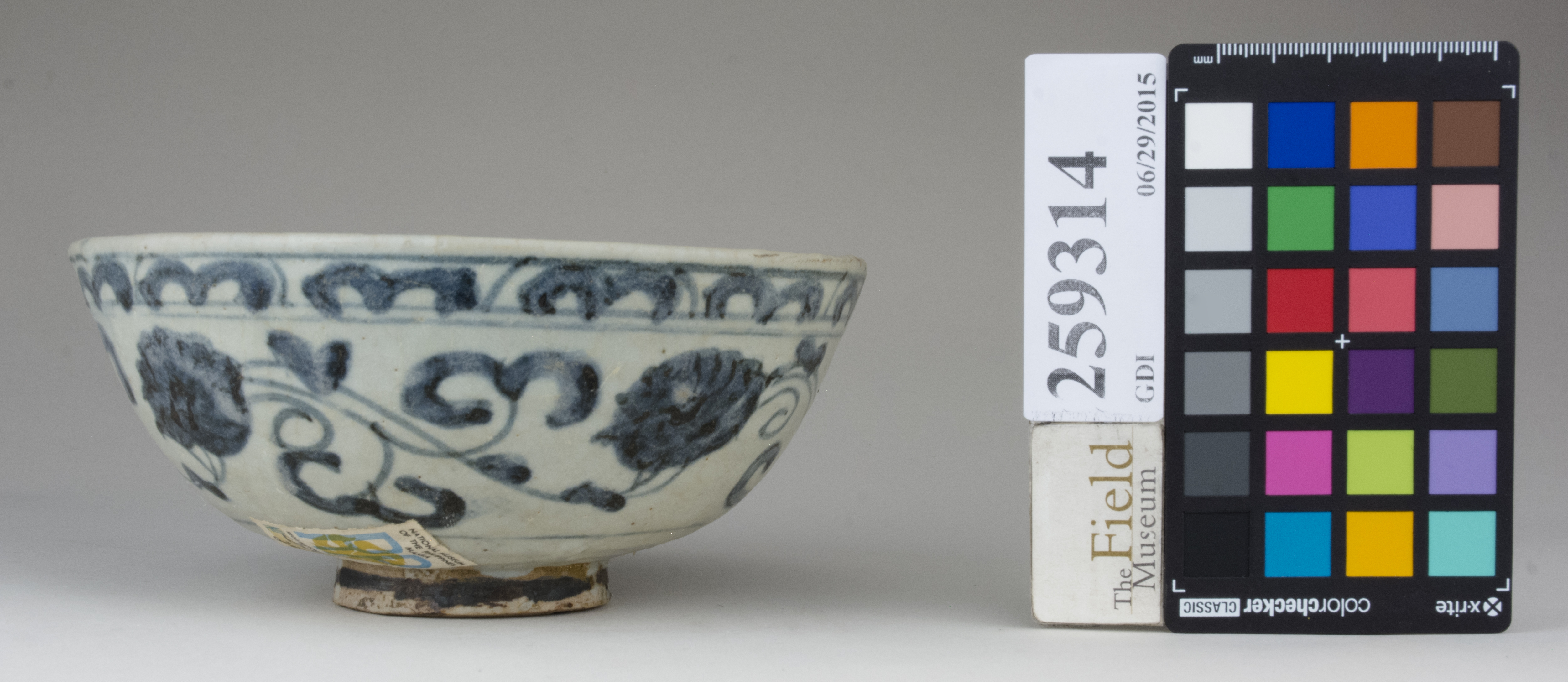 reference image, back (c) Field Museum of Natural History - CC BY-NC 4.0